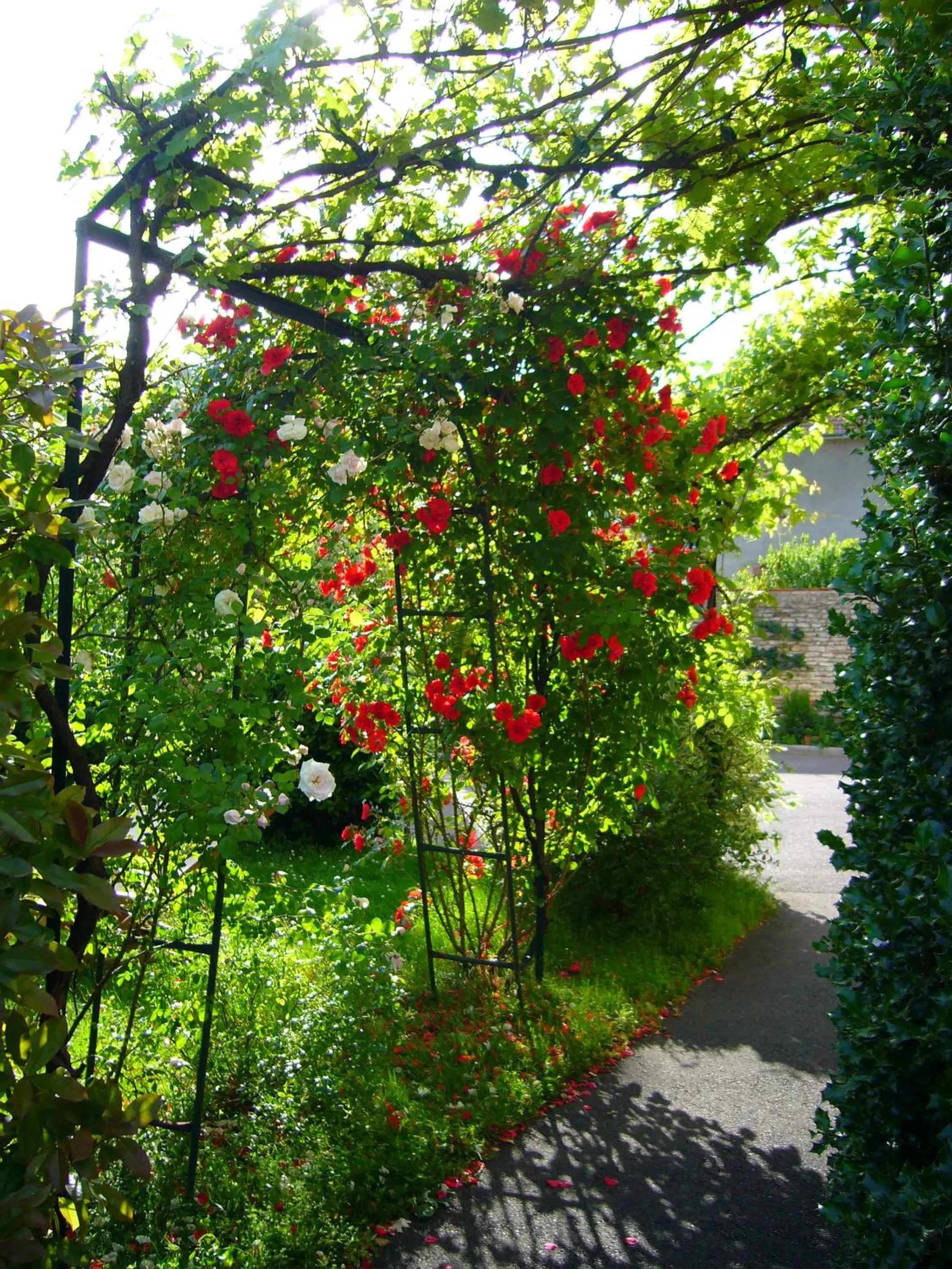 Garden in Hotel La Villa Fleurie
