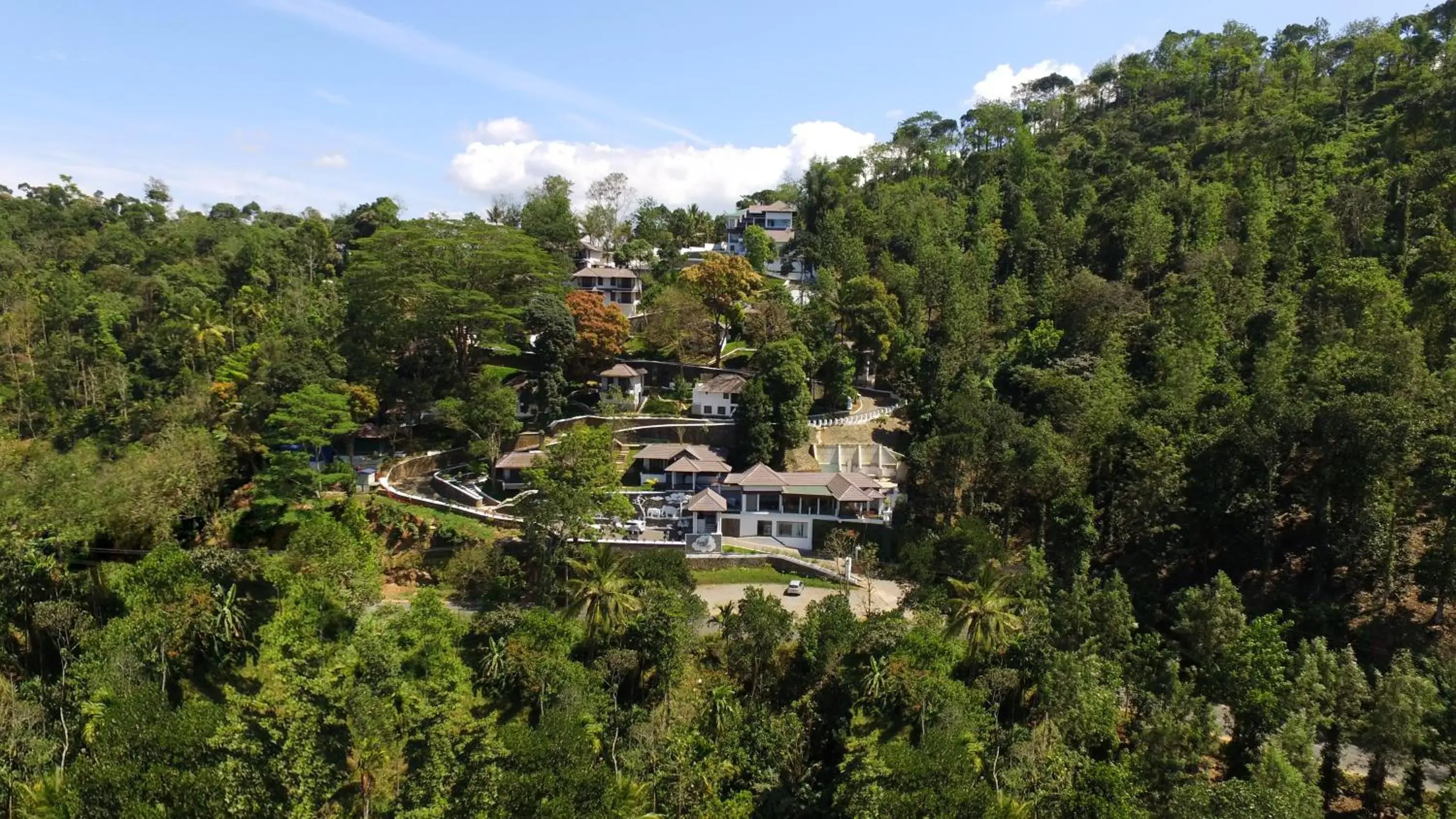 Bird's eye view in Forest Canopy Thekkady Bird's eye view in Forest Canopy Thekkady