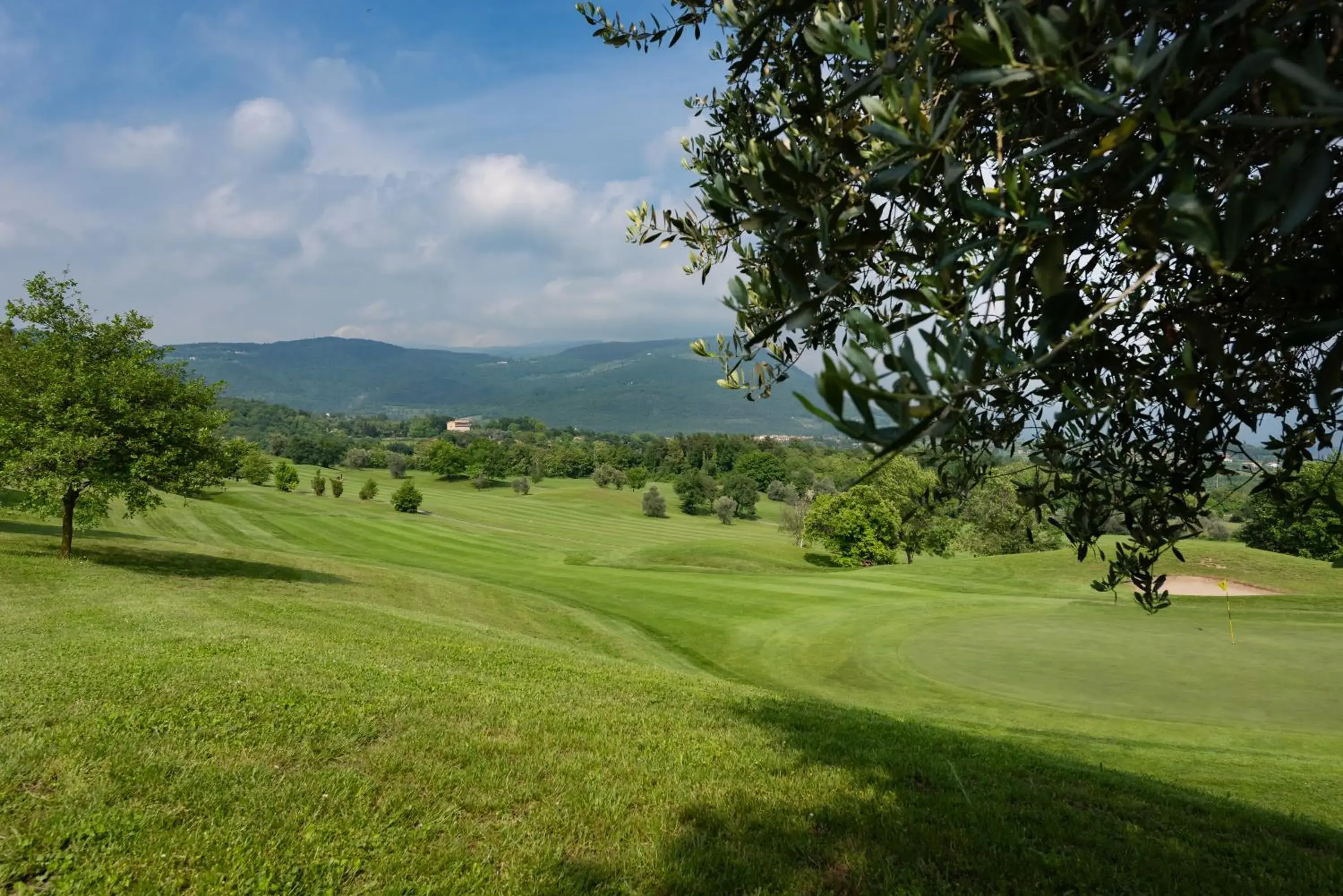 Natural landscape, Golf in Golf Cà Degli Ulivi