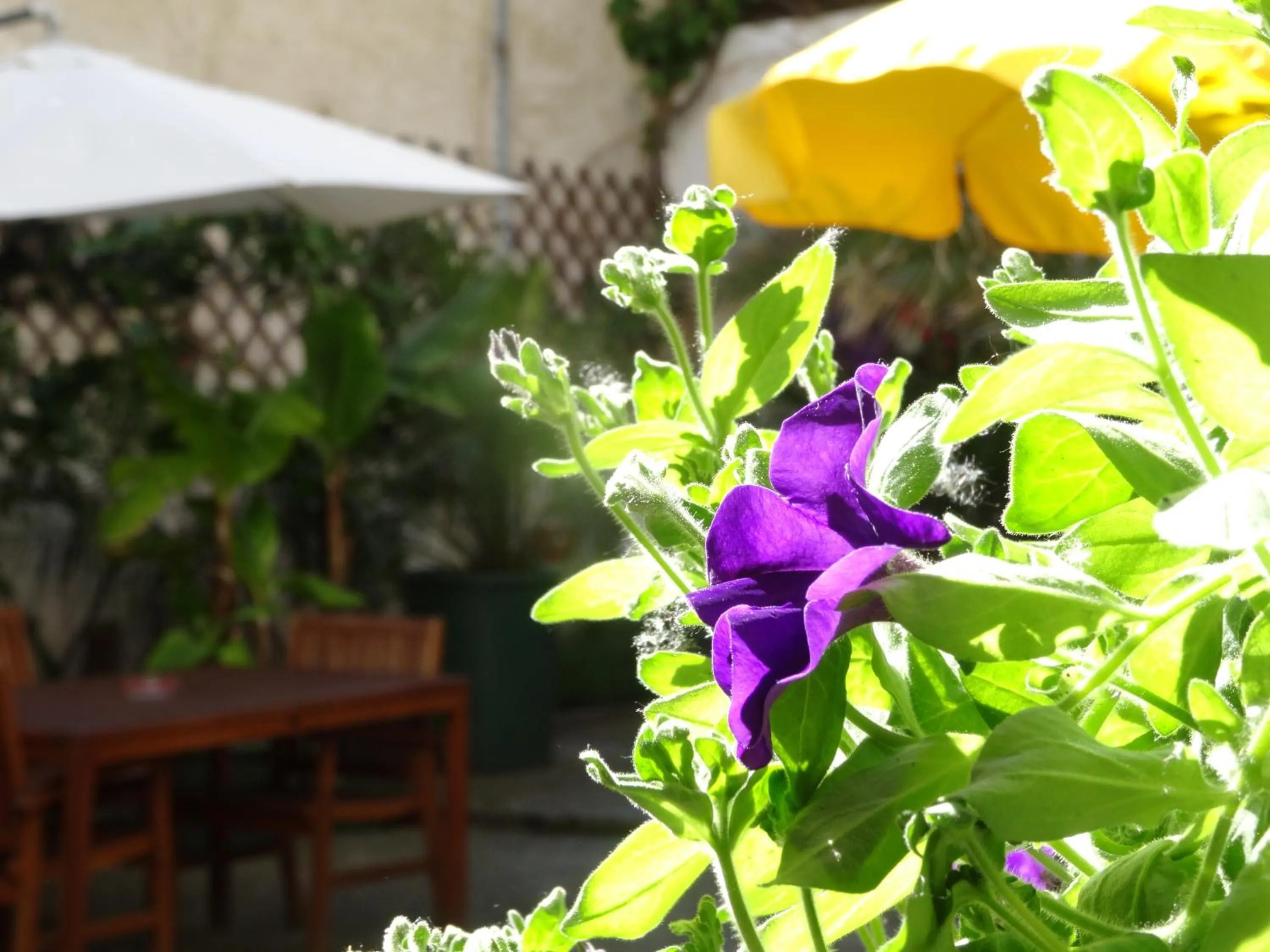 Other in Gästehaus auf der Kunstmeile