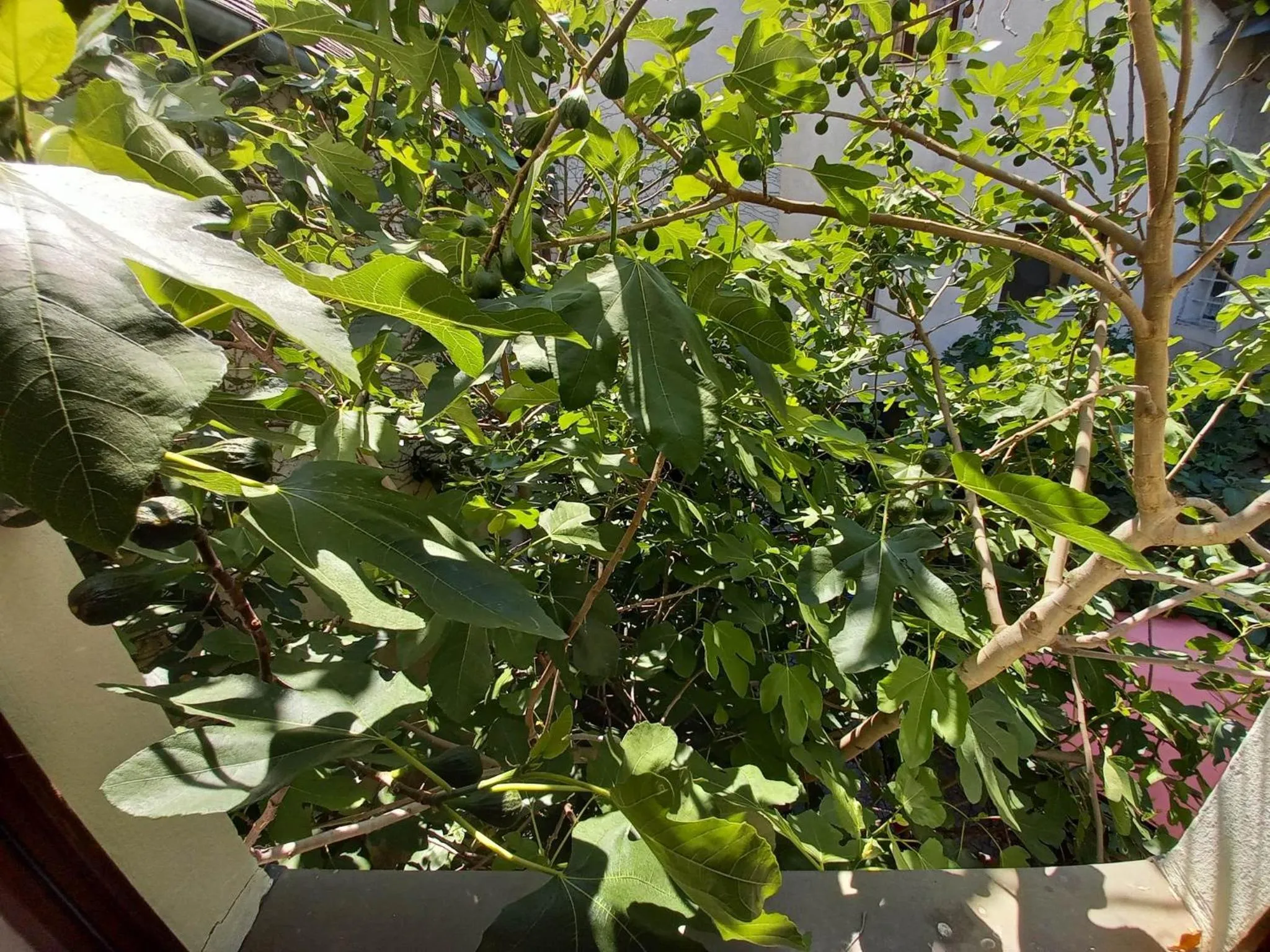 Gästehaus auf der Kunstmeile