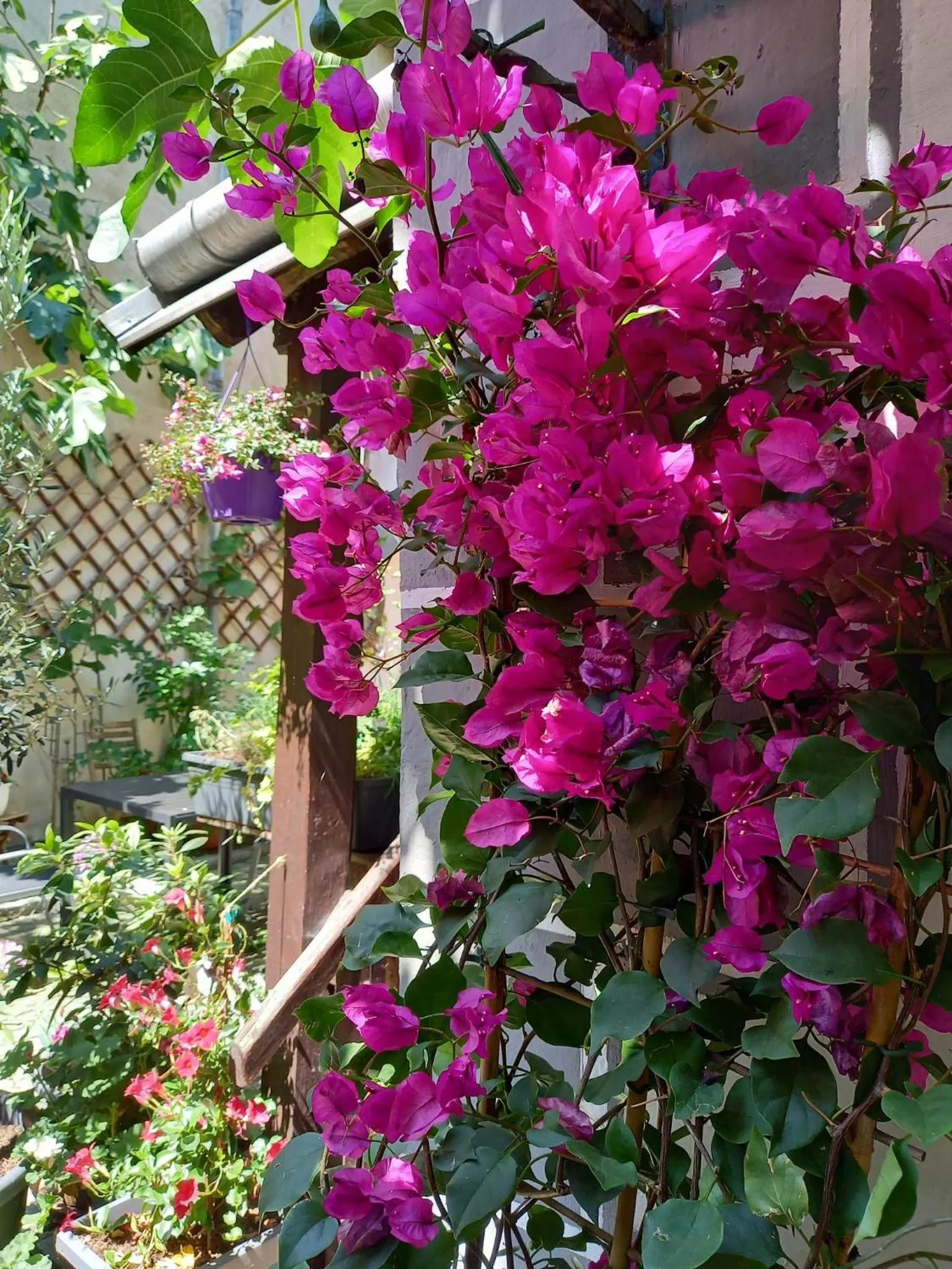 Gästehaus auf der Kunstmeile