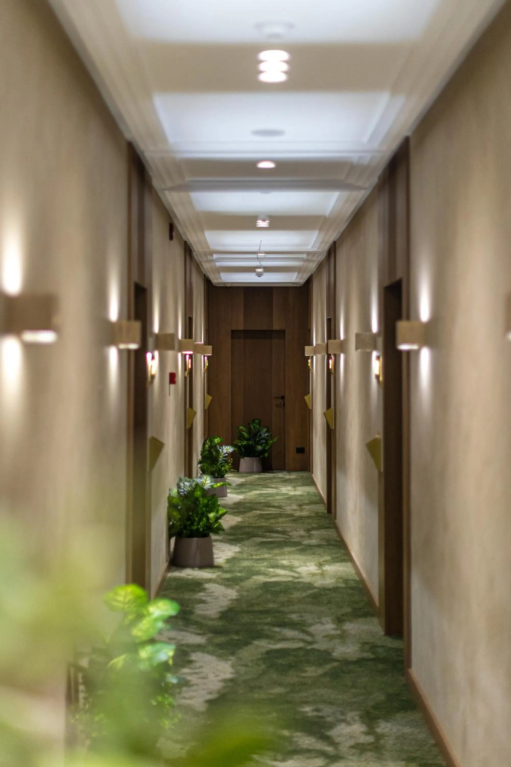 Area and facilities in Sazani Hotel