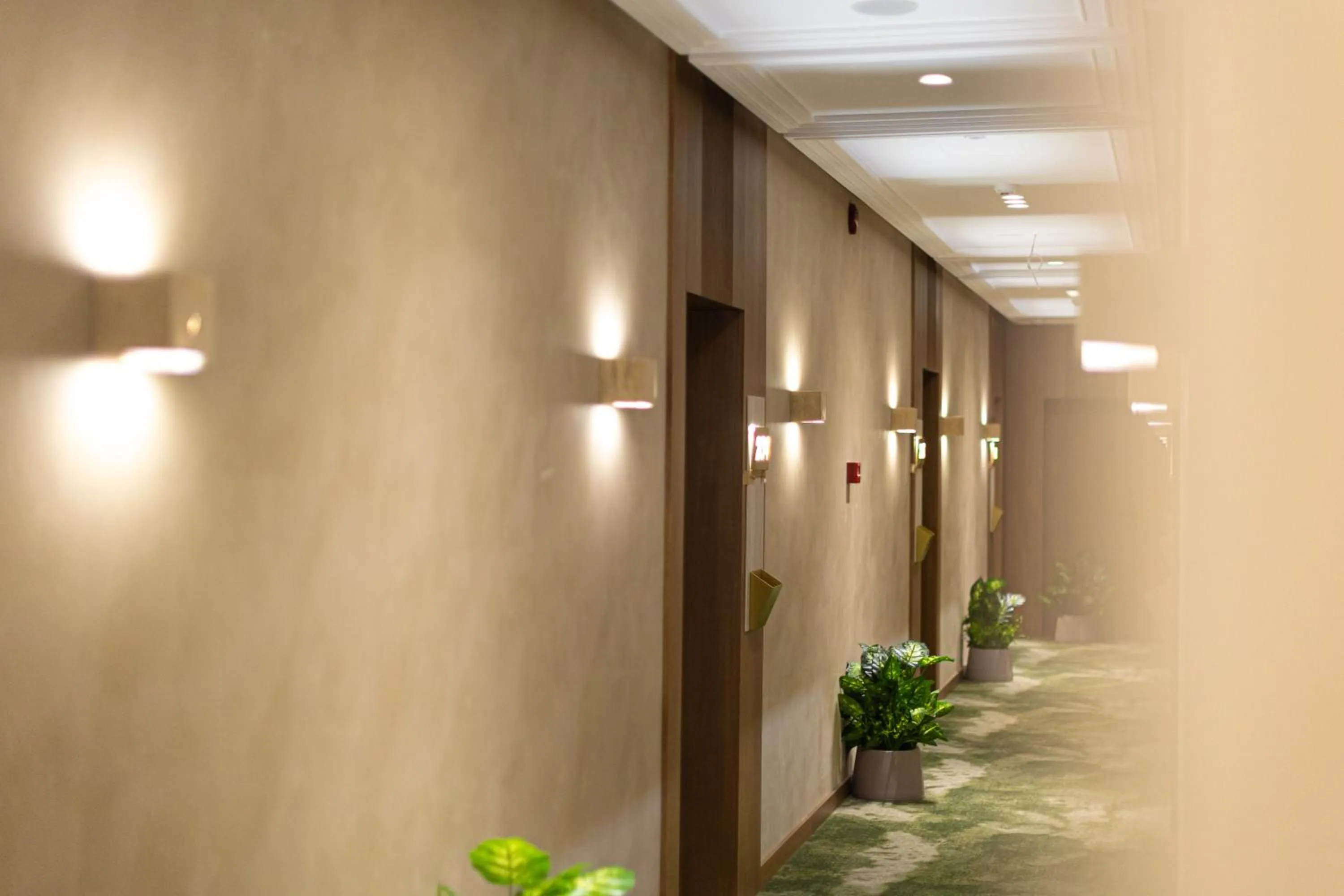 Area and facilities in Sazani Hotel