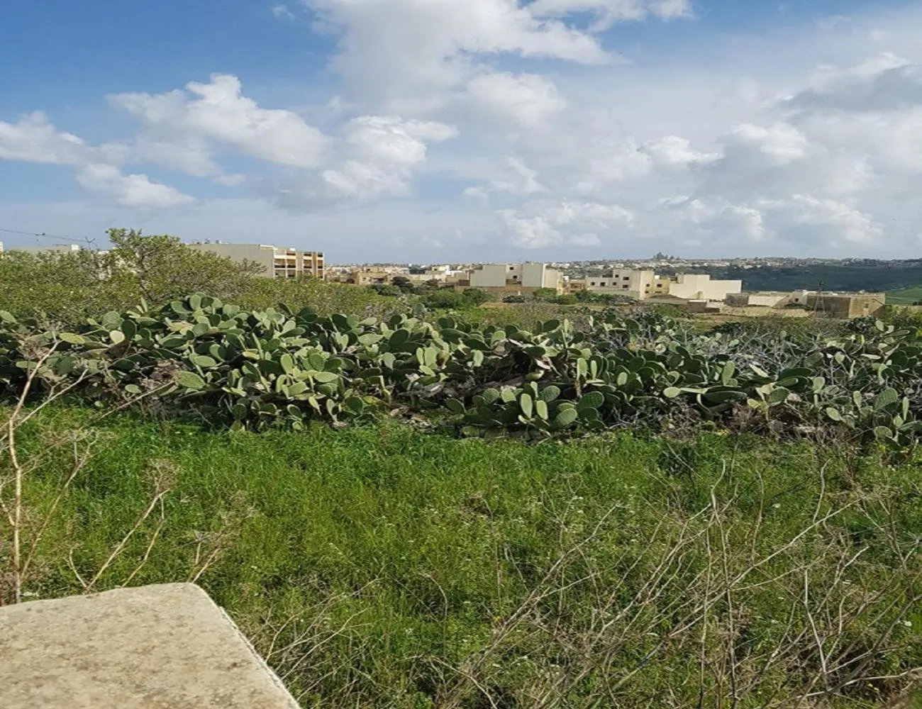 Neighbourhood in Ta' Karkar Villa Bed and Breakfast