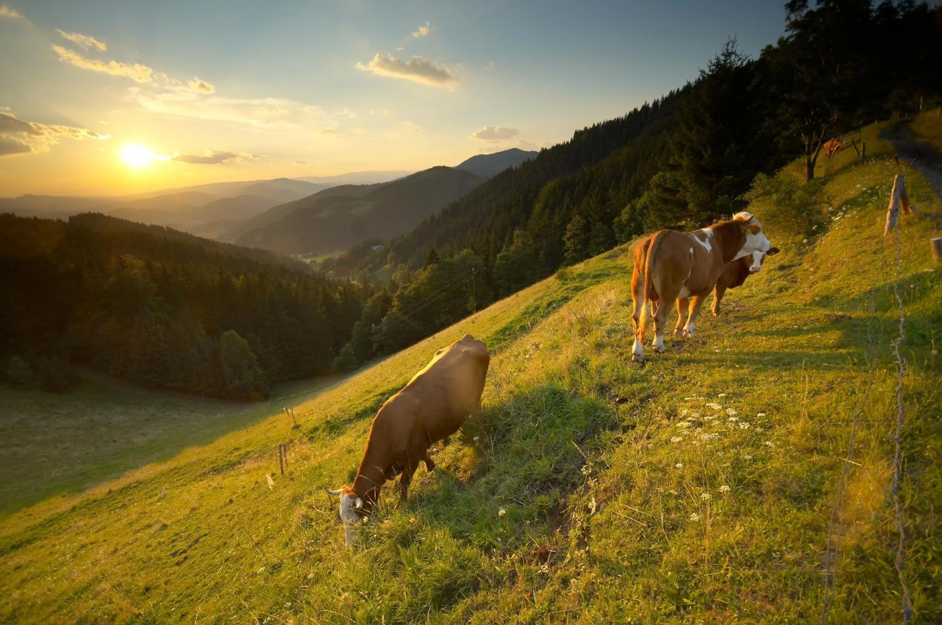 Natural landscape in Apartmaji Sitar