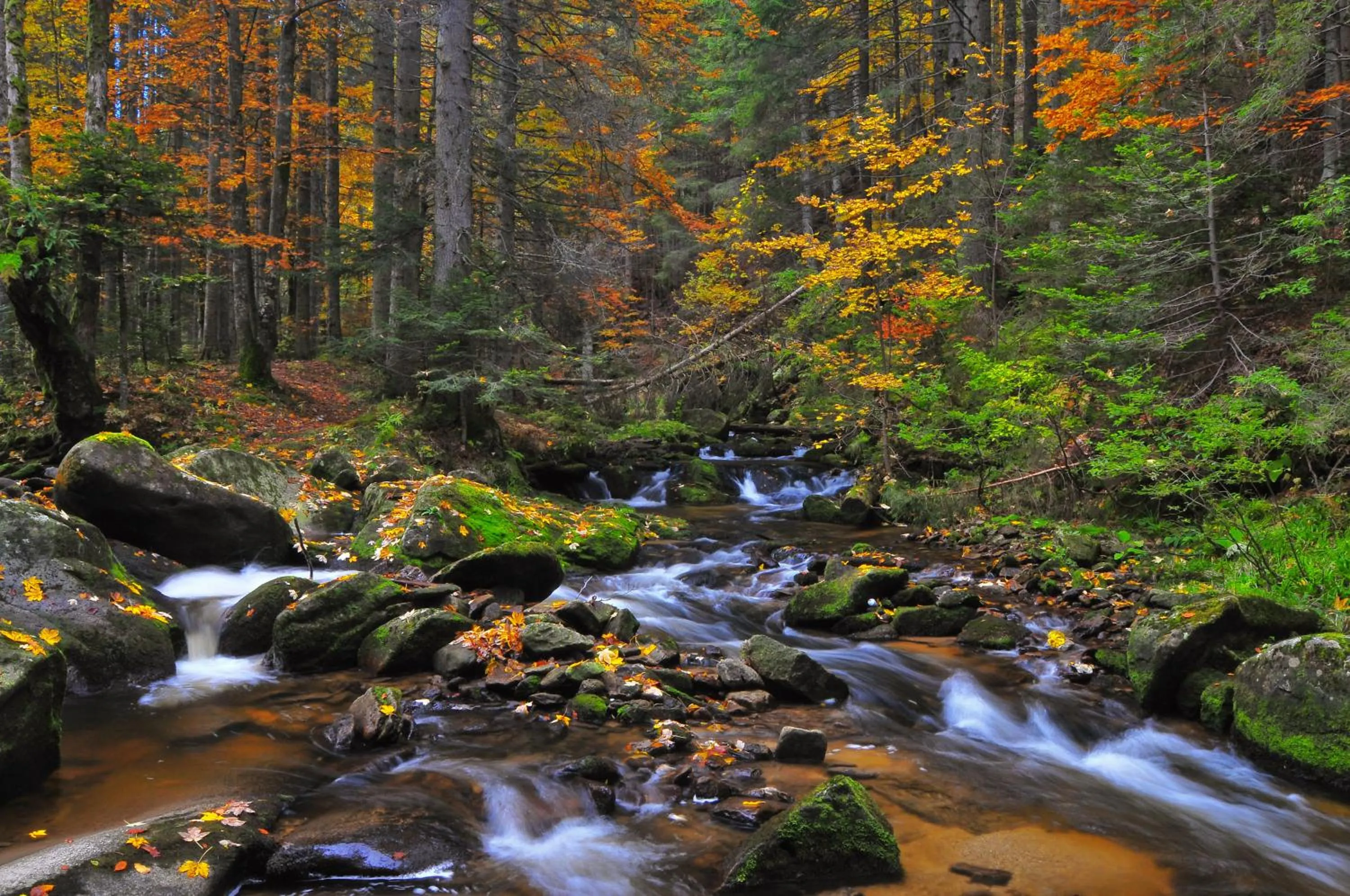 Natural landscape in Apartmaji Sitar