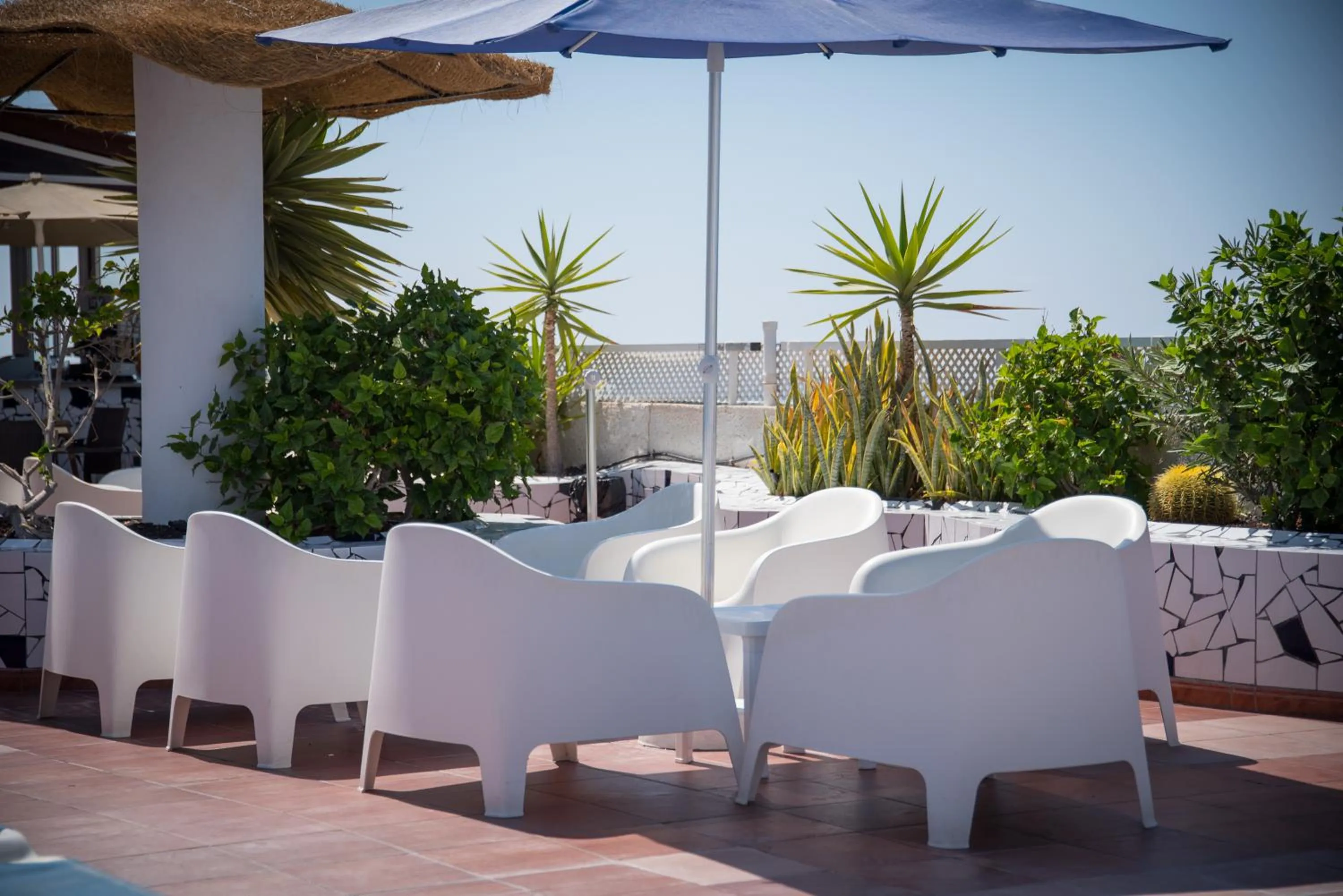 Lounge or bar in Vigilia Park