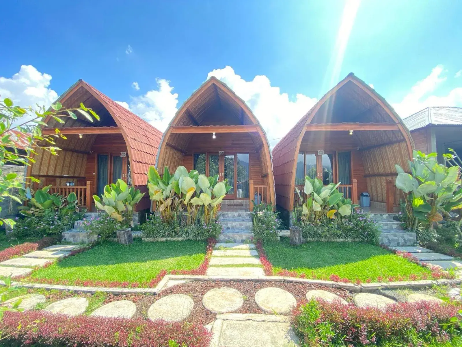 Kintamani Angel Kintamani Angel