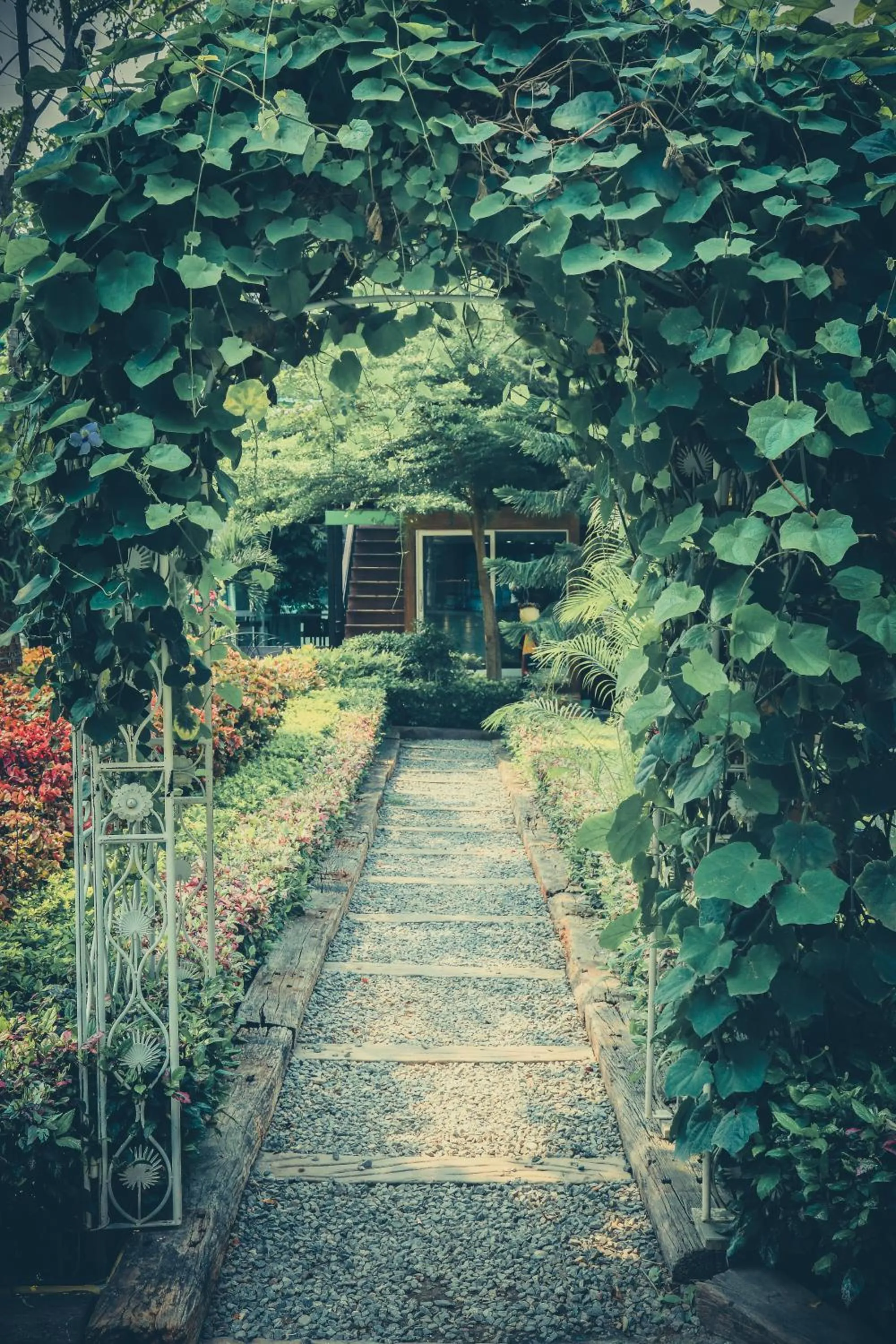 Garden in The Pino Hotel Pakchong