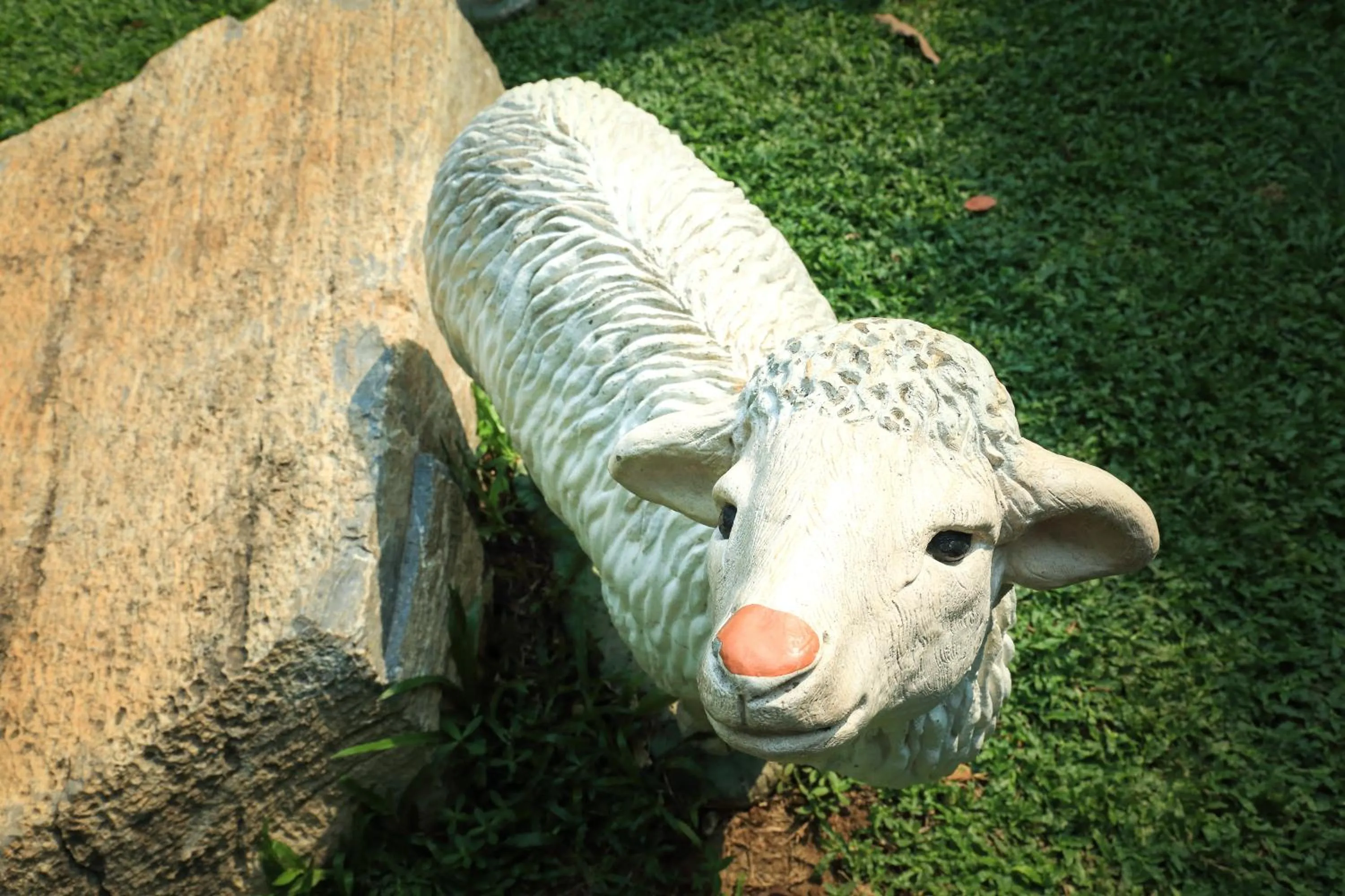 Garden in The Pino Hotel Pakchong