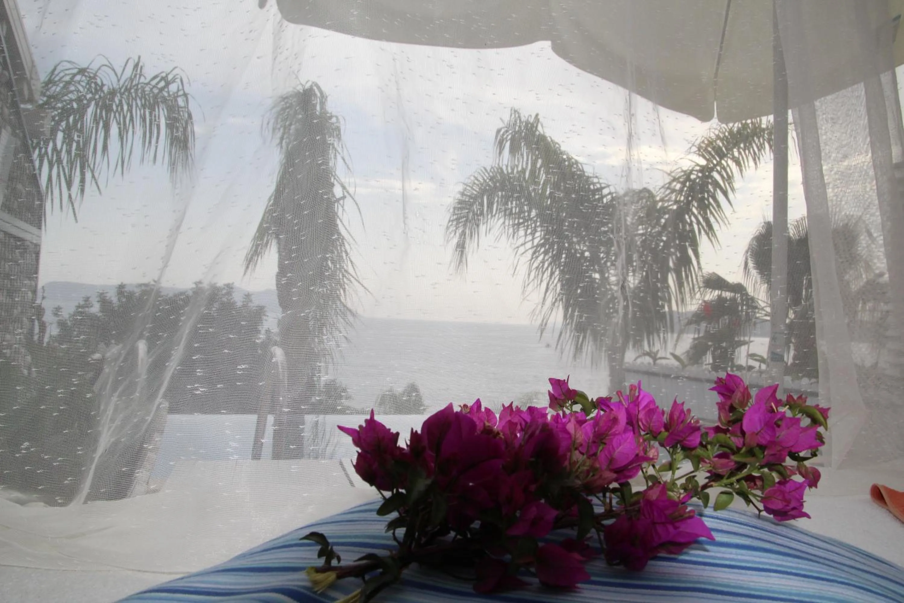 Pool view in Nur Beach Hotel