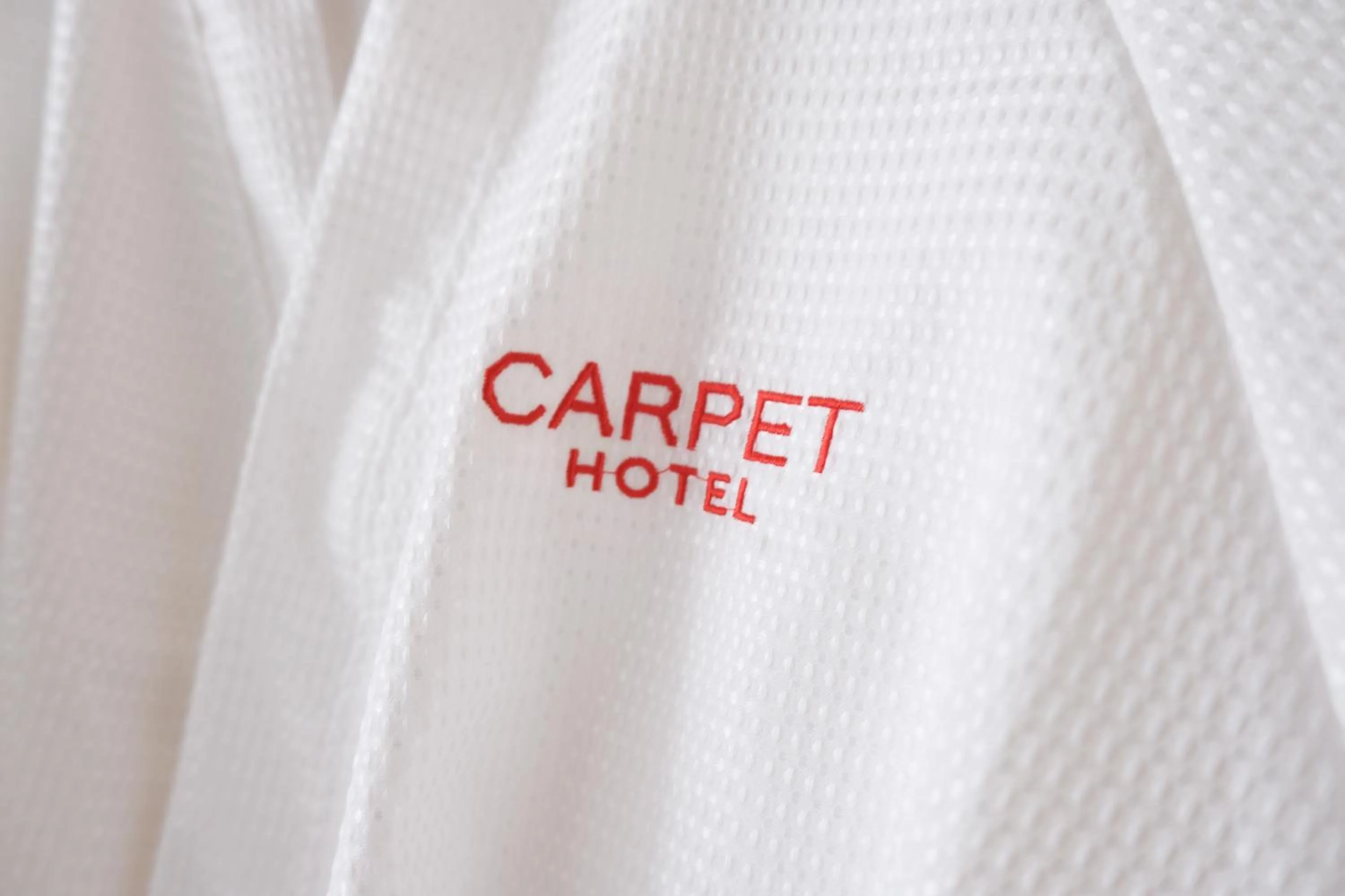 Property logo or sign in Hotel Carpet