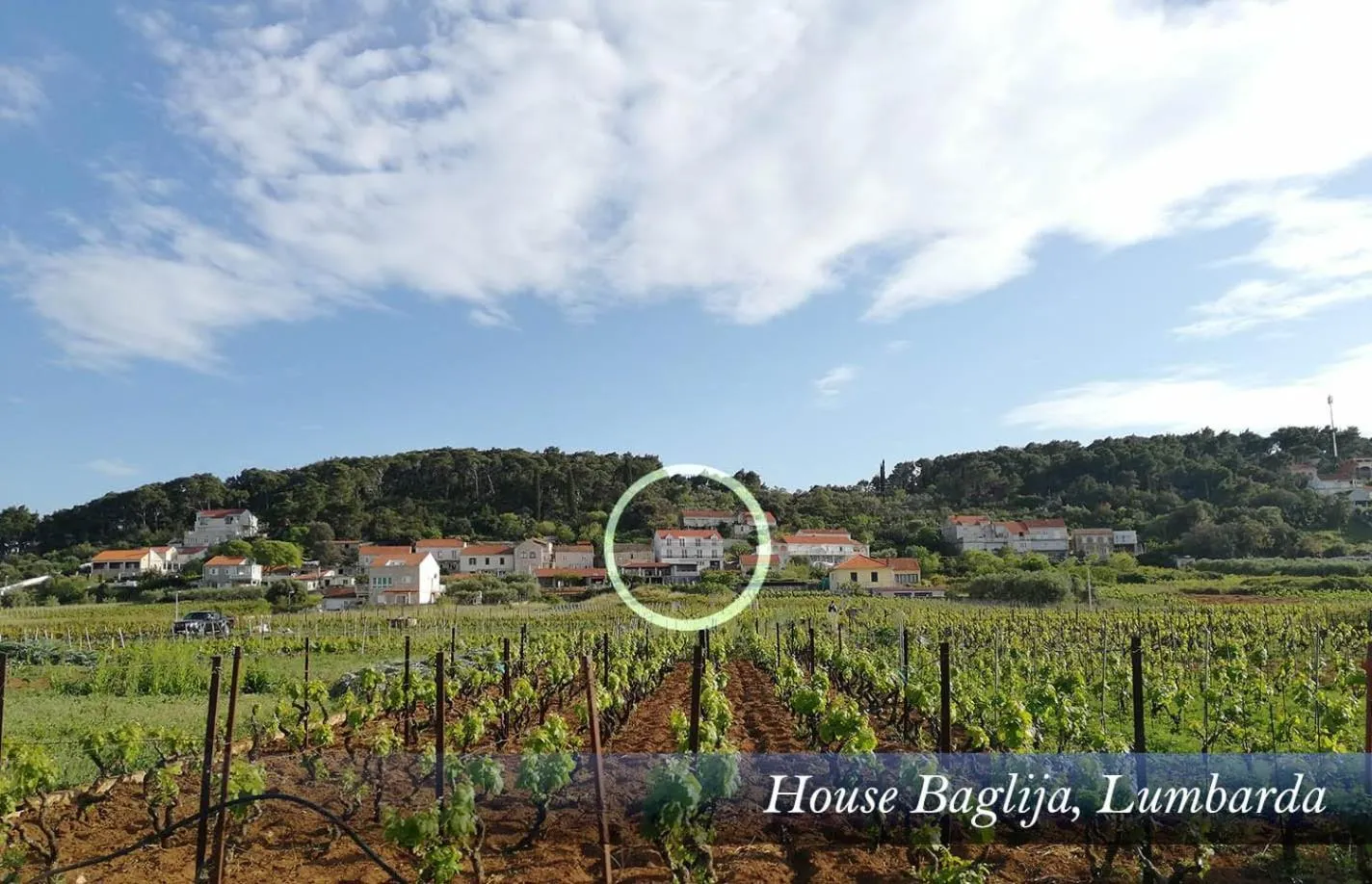 Property building in House Baglija