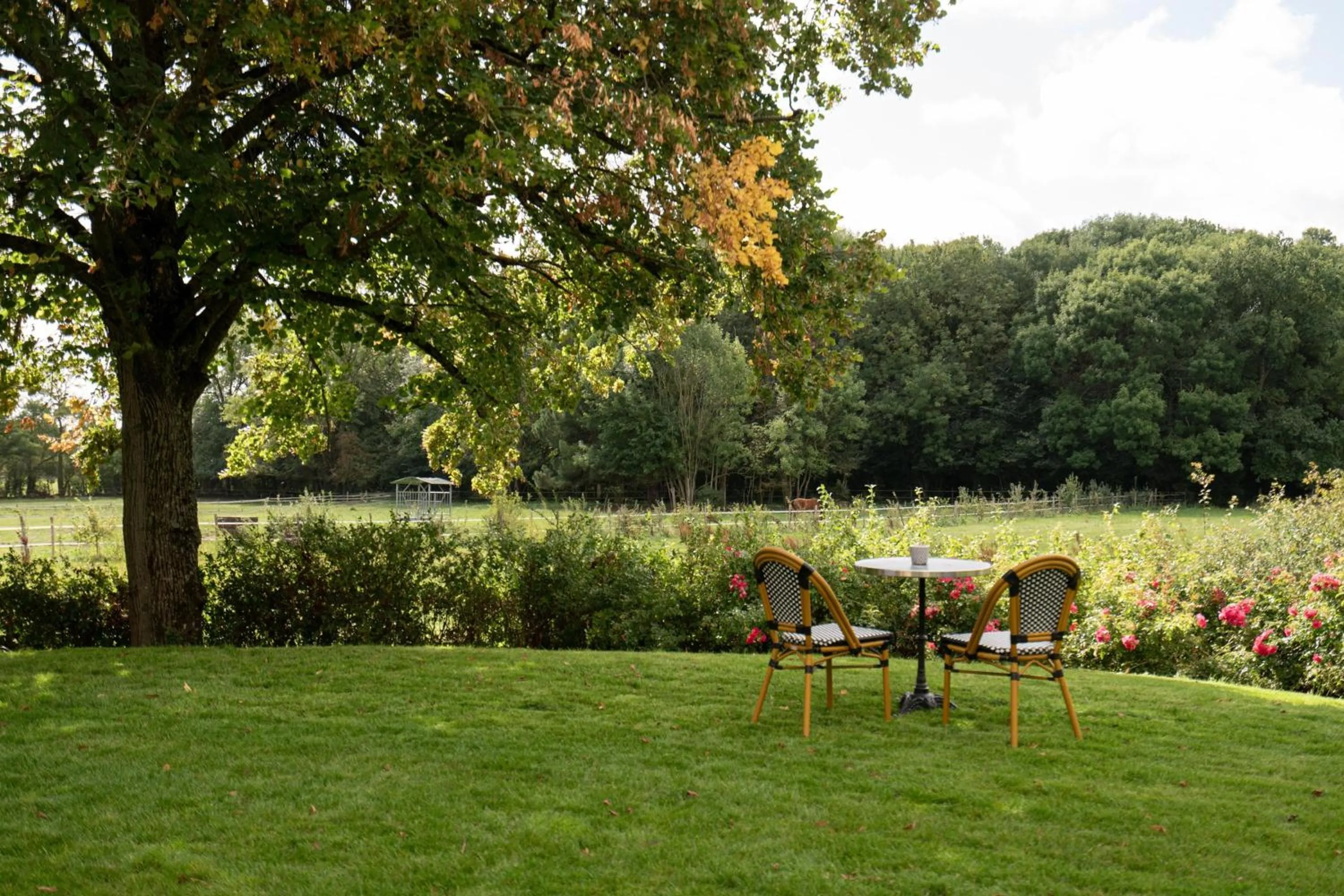 View (from property/room) in Villa Edmond Hôtel & Spa - Maison Blanche Bièvres