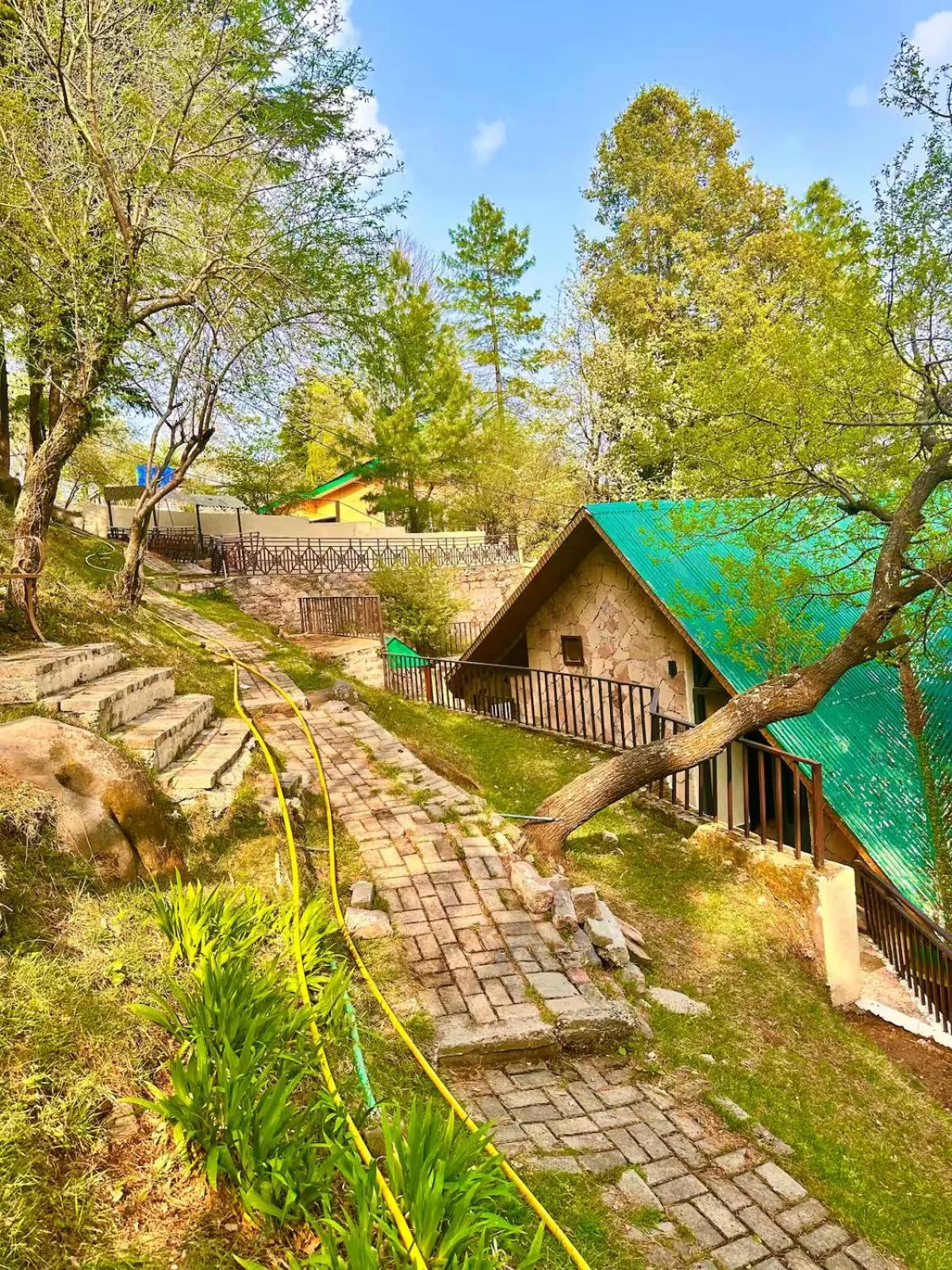 Garden in Pasha Nova