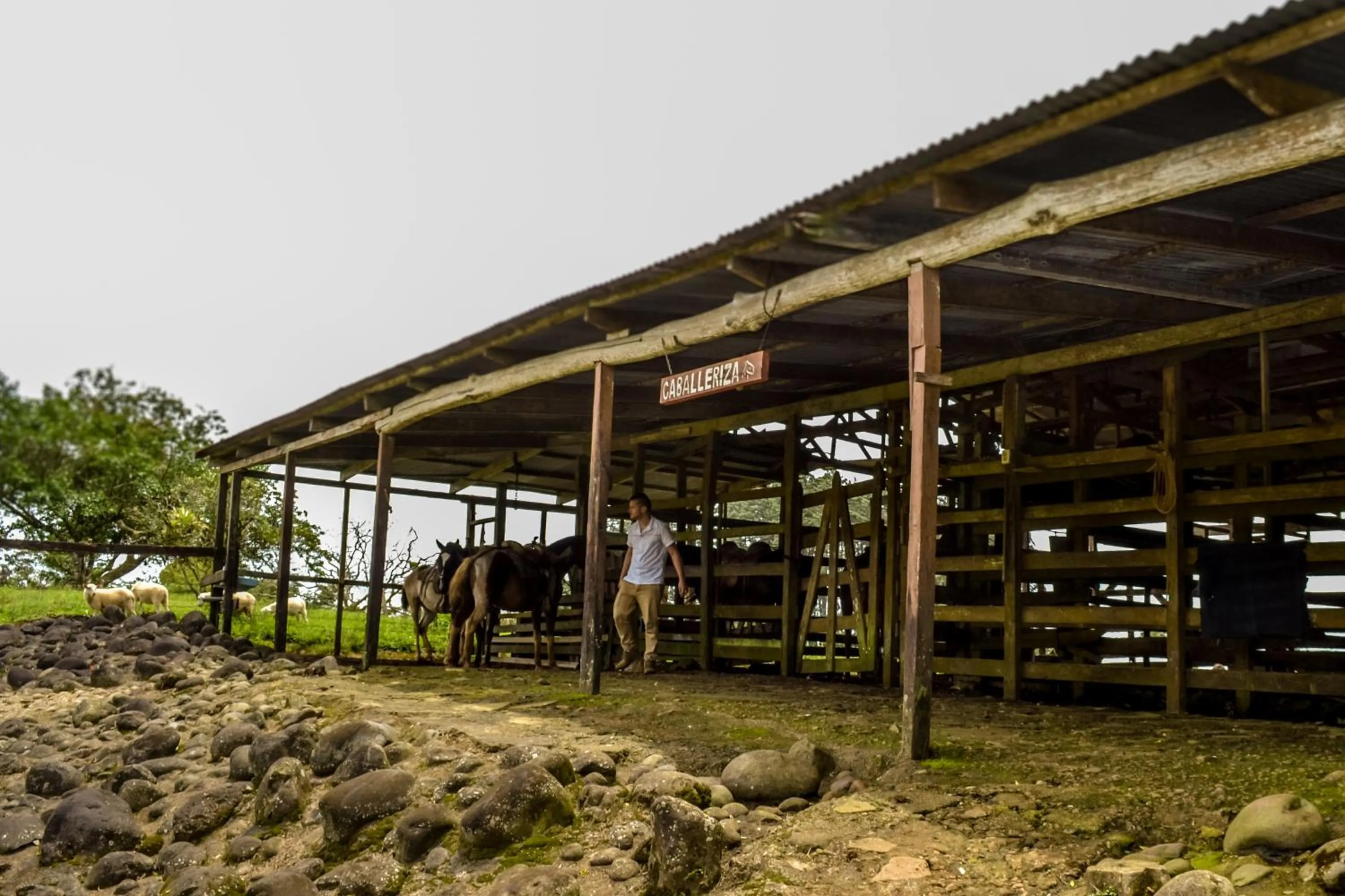 Area and facilities in Termales del Bosque & Hot Springs
