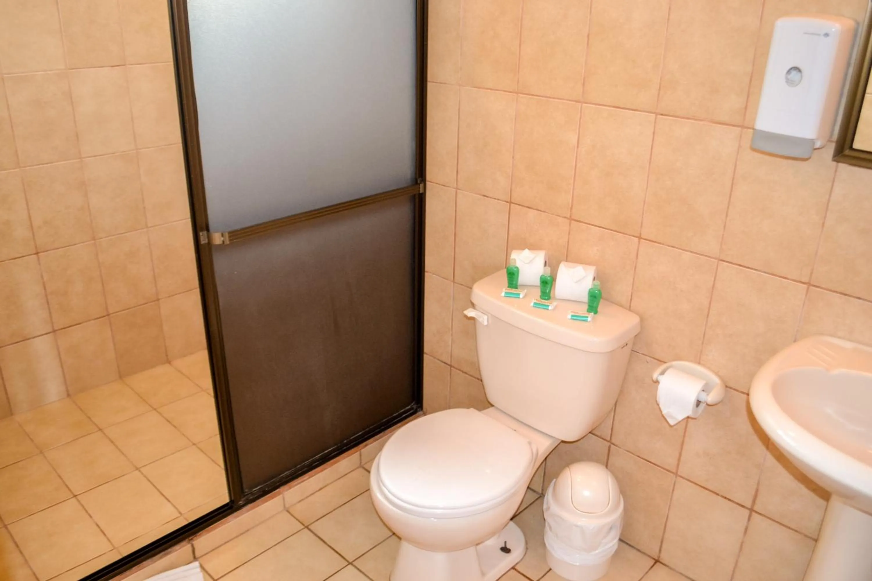 Bathroom in Termales del Bosque & Hot Springs