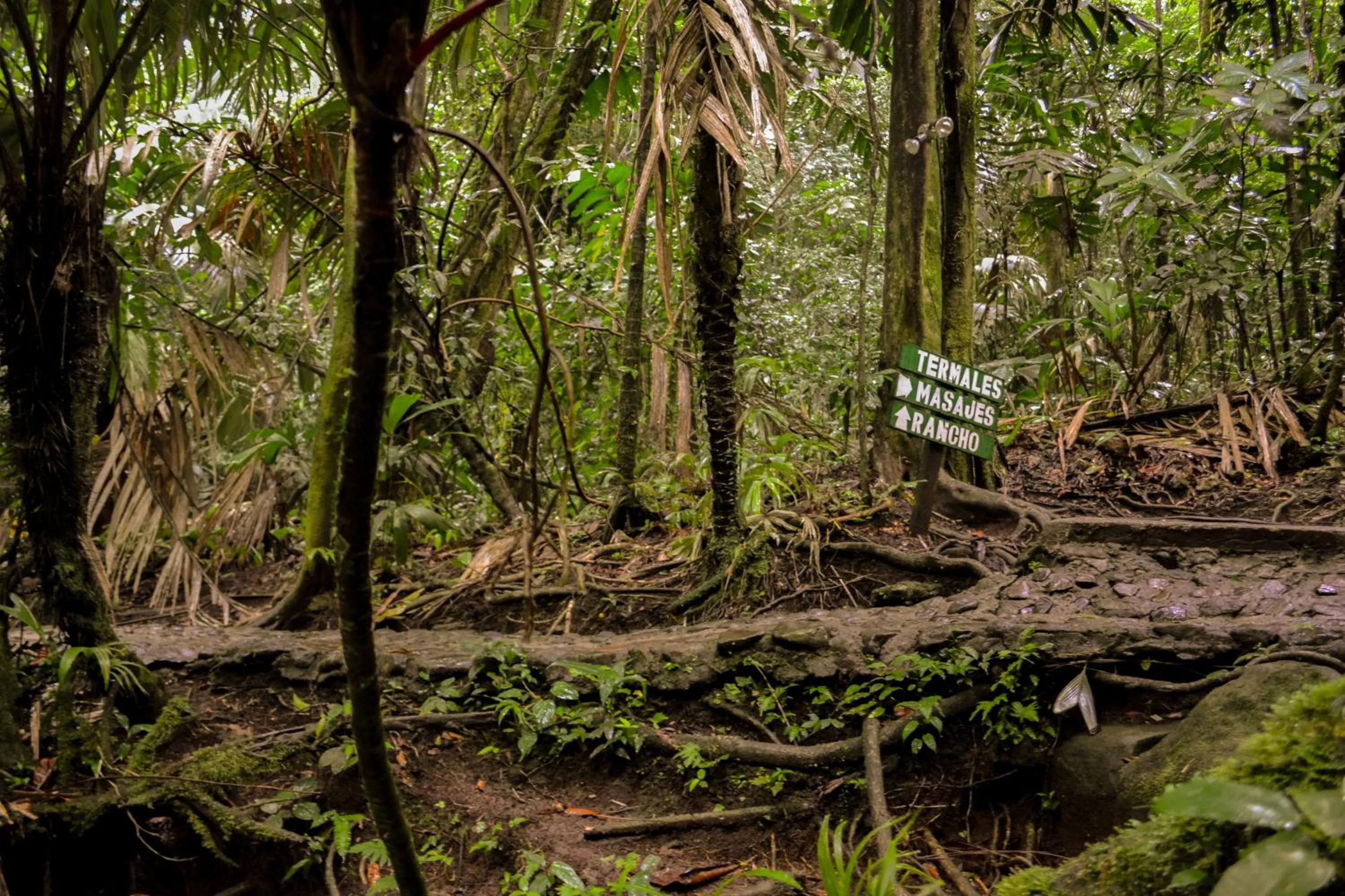 Area and facilities in Termales del Bosque & Hot Springs