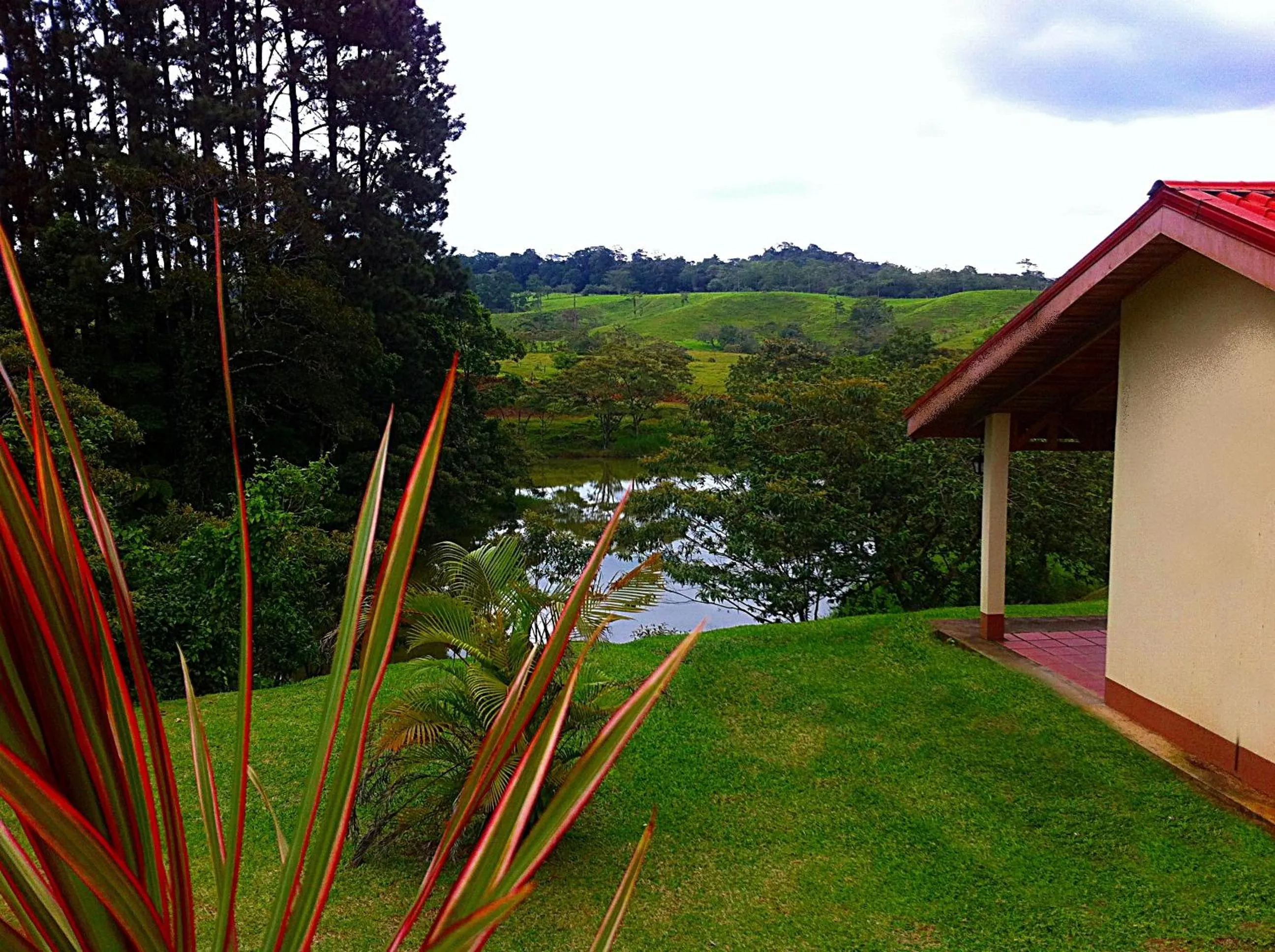Area and facilities in Termales del Bosque & Hot Springs