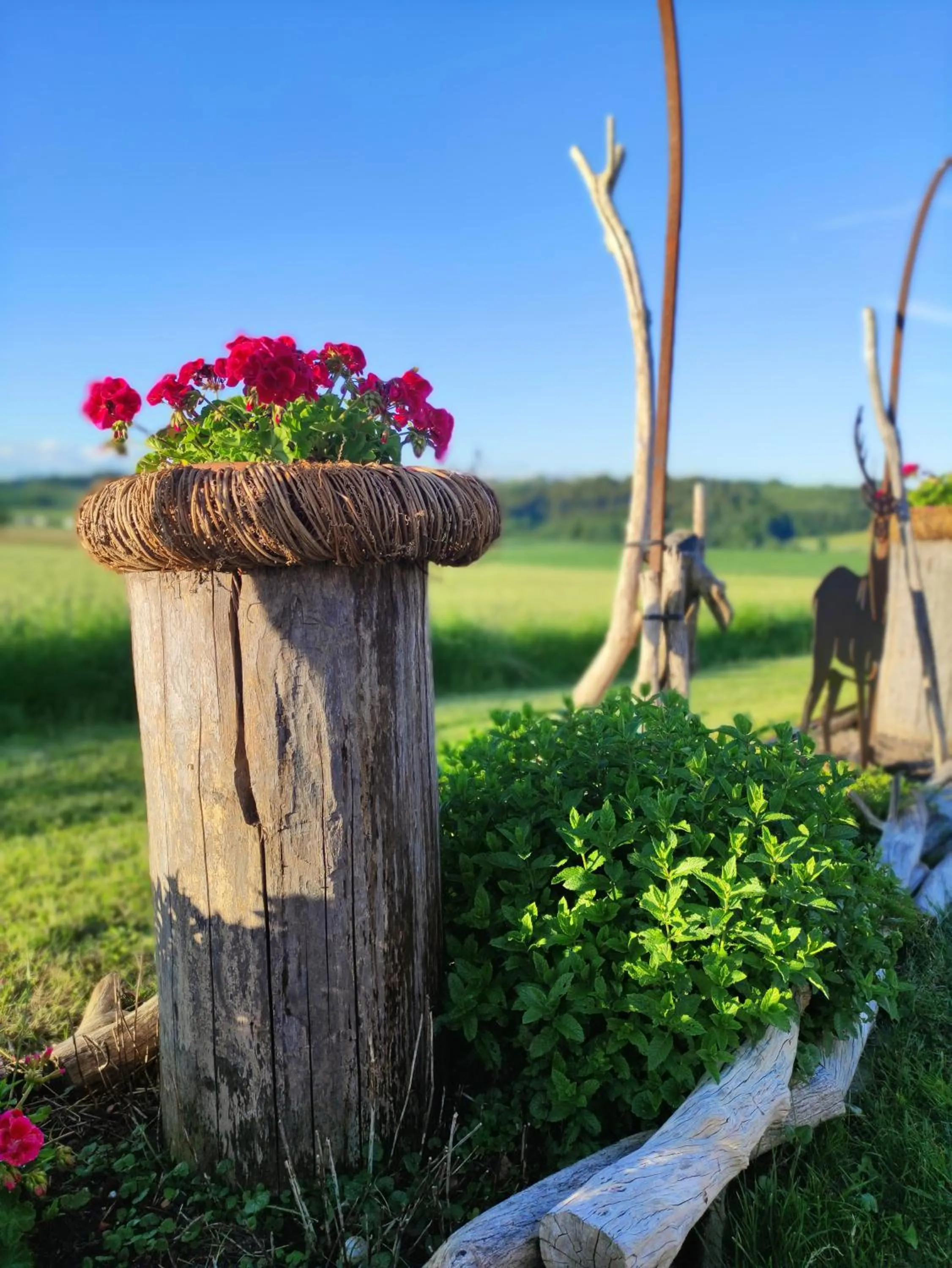 Garden view in Haus Lindenfeld