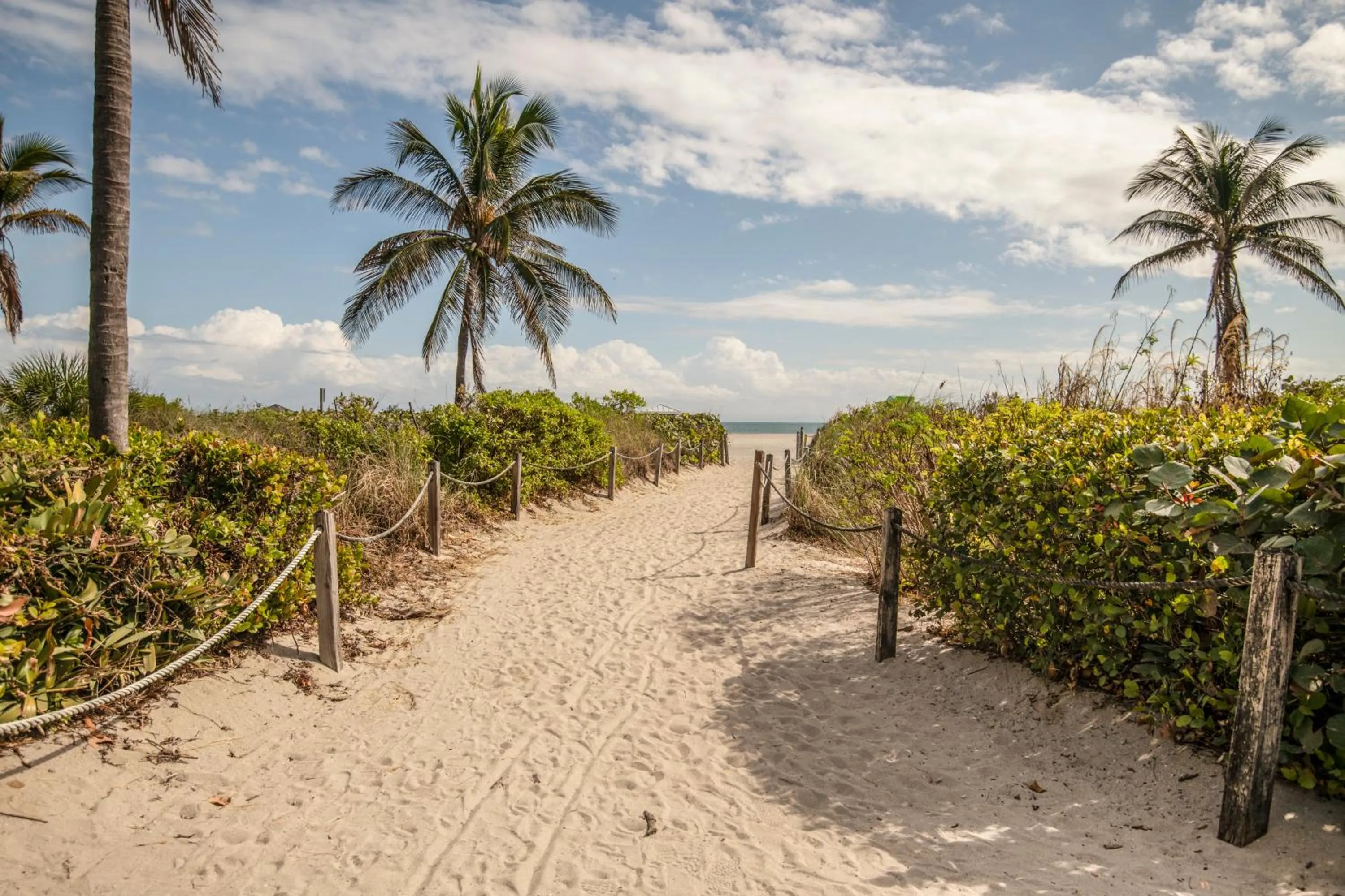 Beach in Agave on the Beach