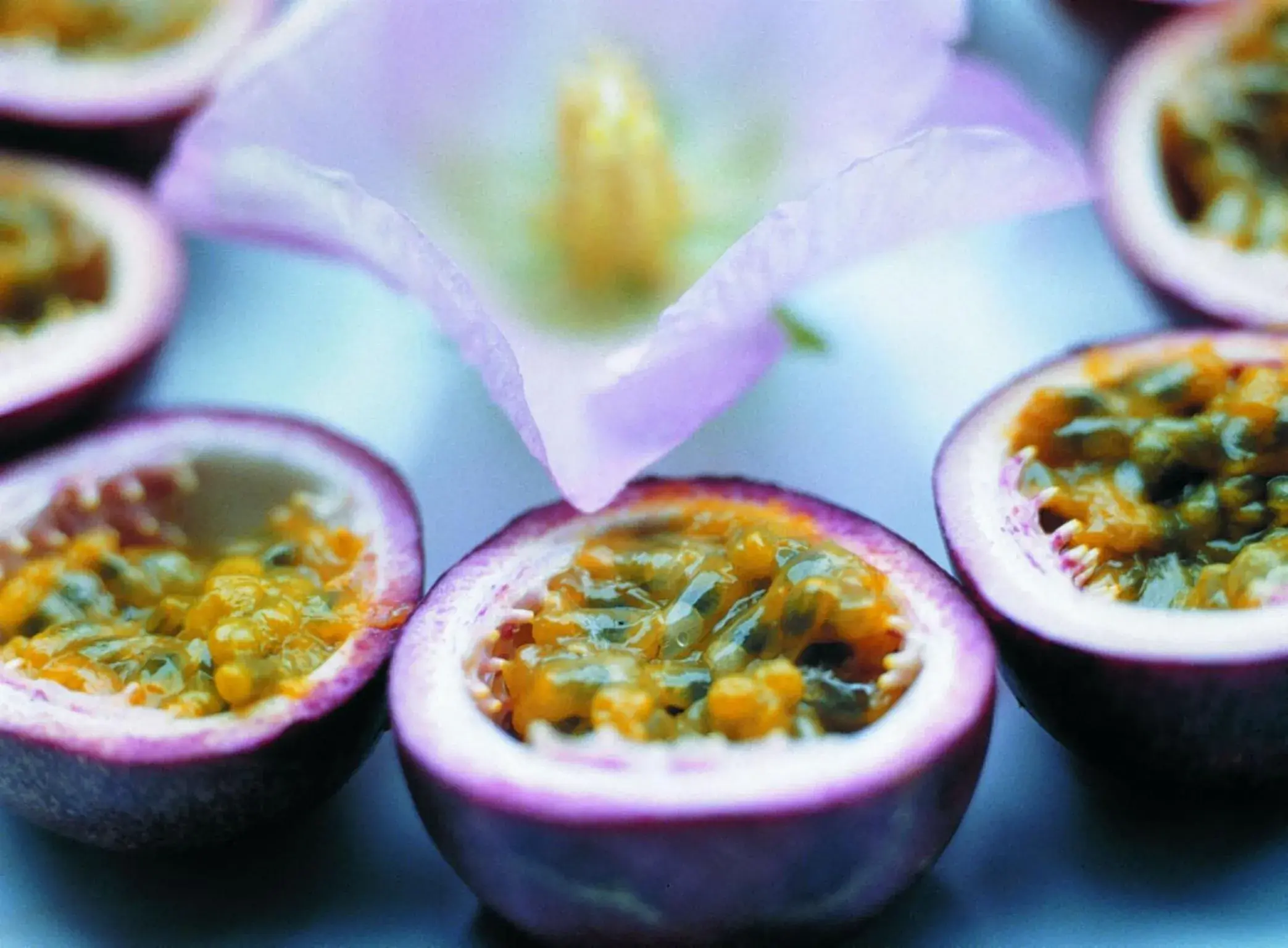 Food close-up in Cheng Pao Hotel Food close-up in Cheng Pao Hotel