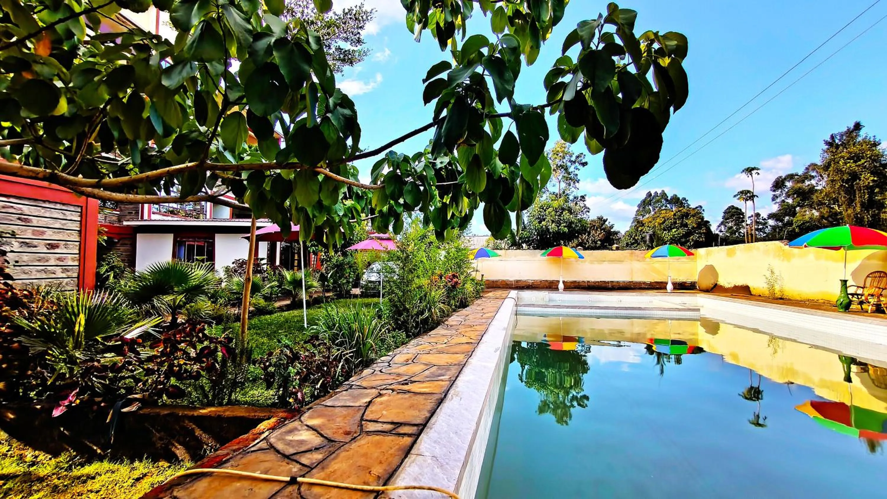 Garden in Kusi Hotel Kakamega