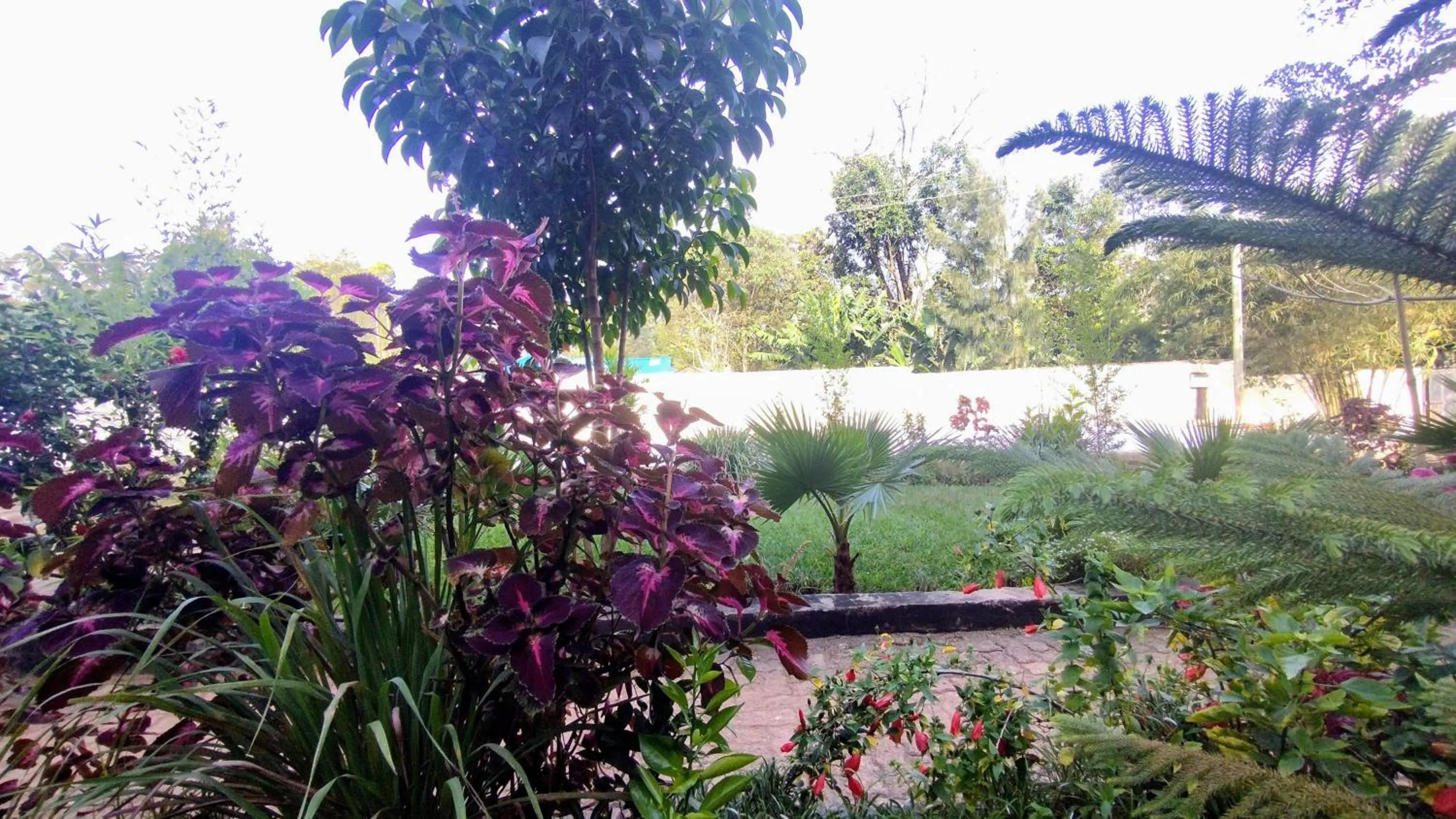 Kusi Hotel Kakamega