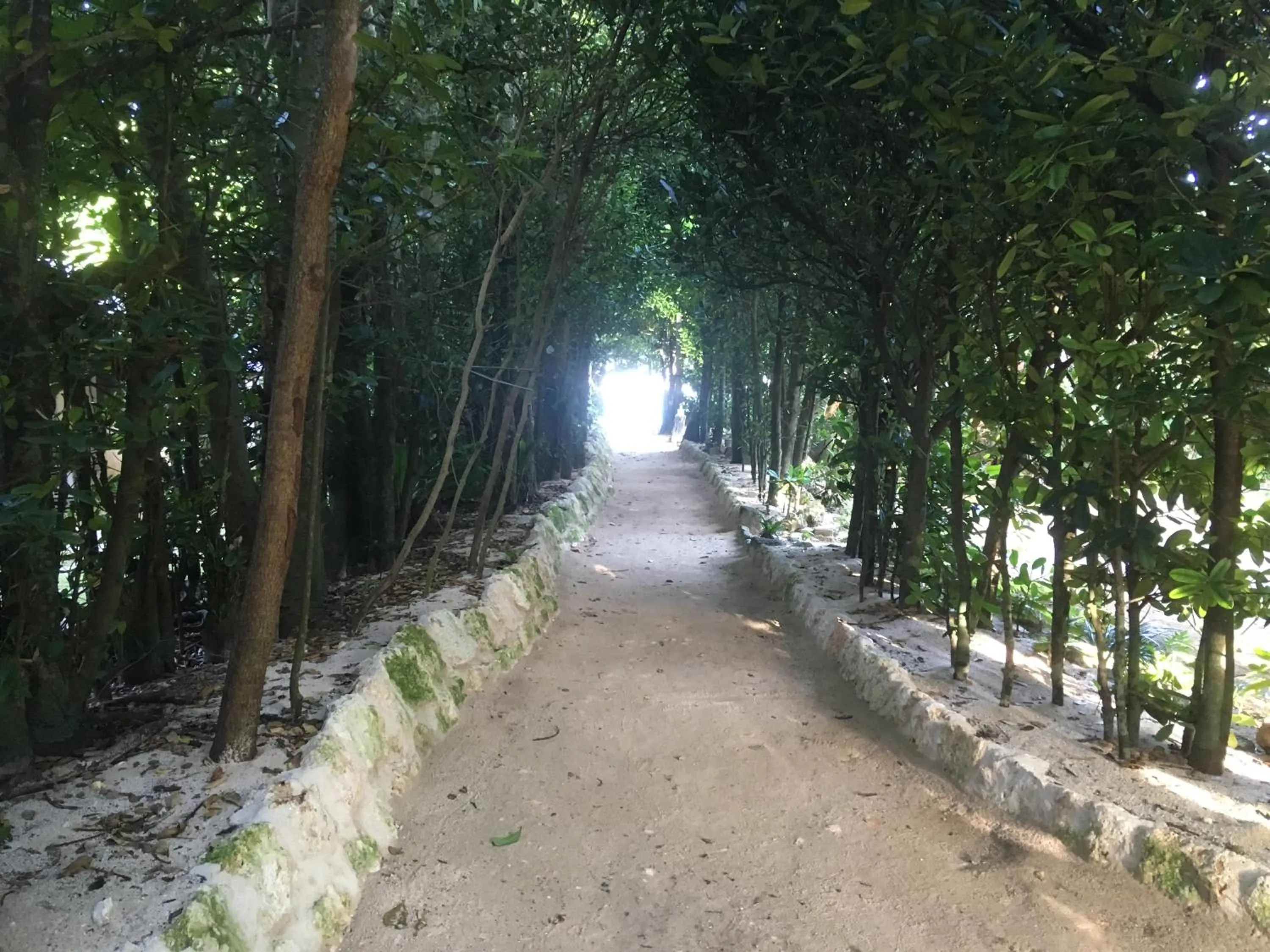 Other in Sunset Hill Bise