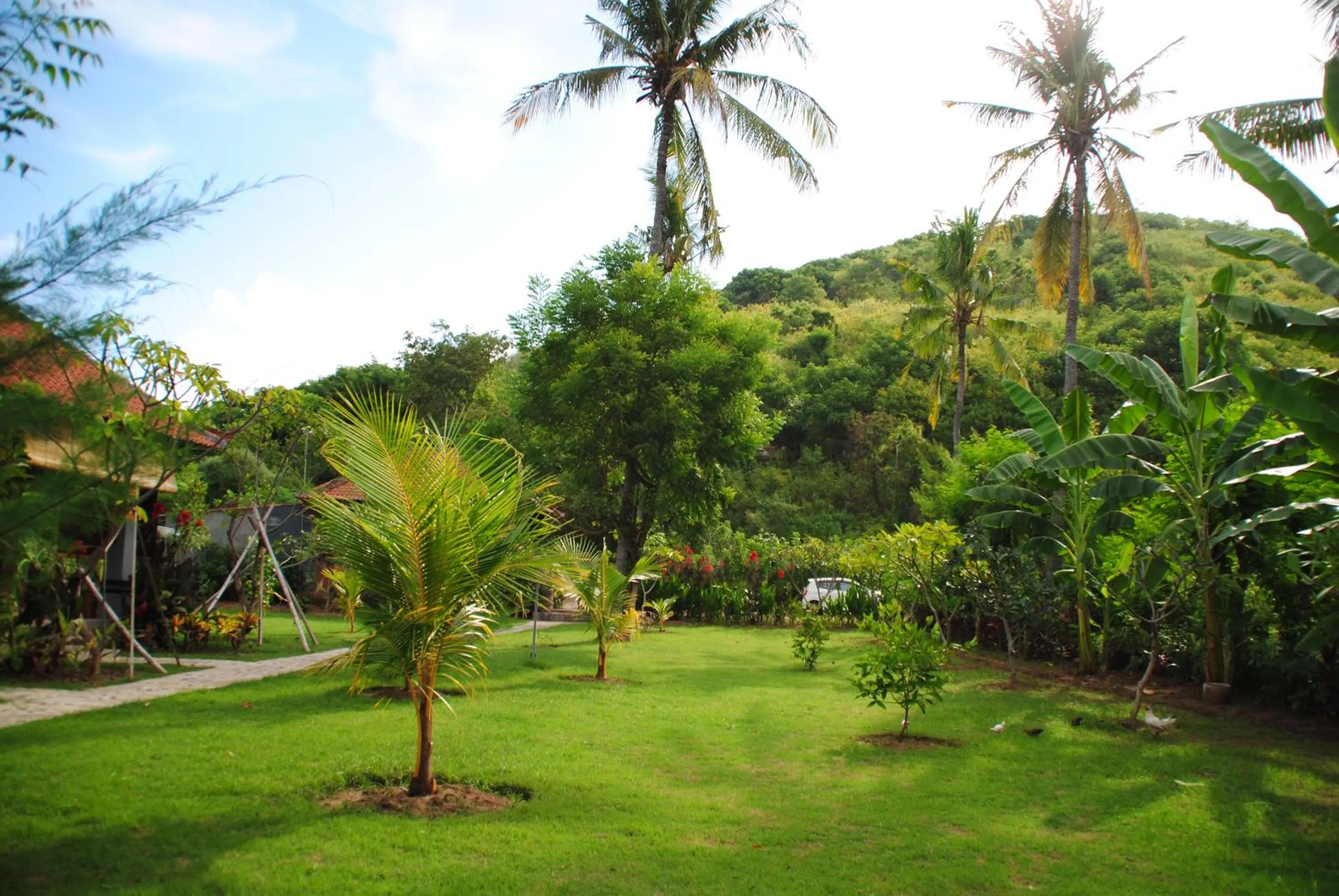 Day in Tiara Homestay Pemuteran Bali