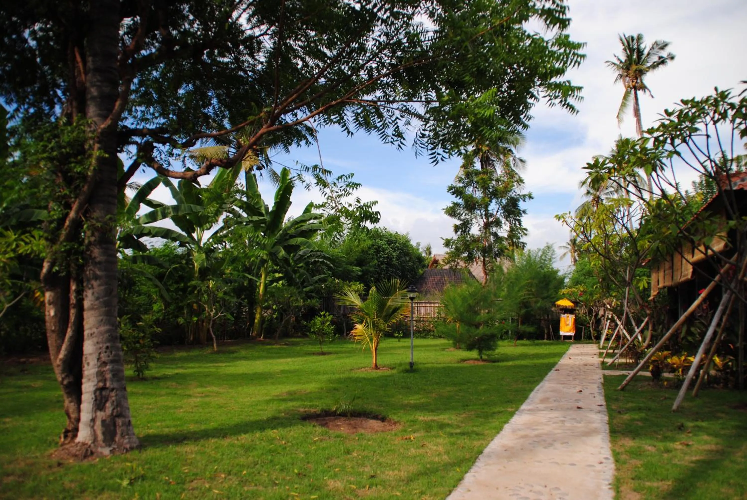 Day in Tiara Homestay Pemuteran Bali