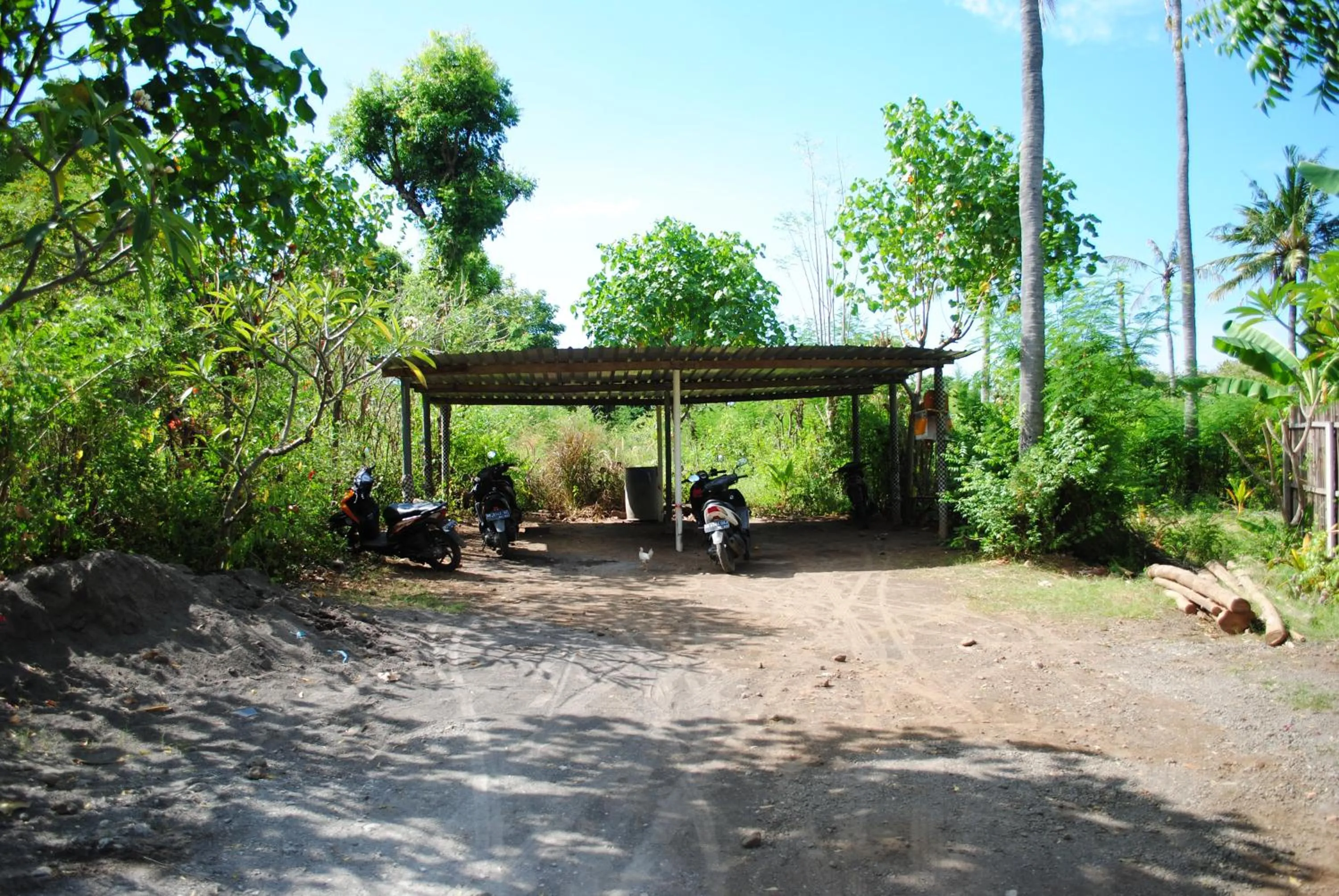 Day in Tiara Homestay Pemuteran Bali