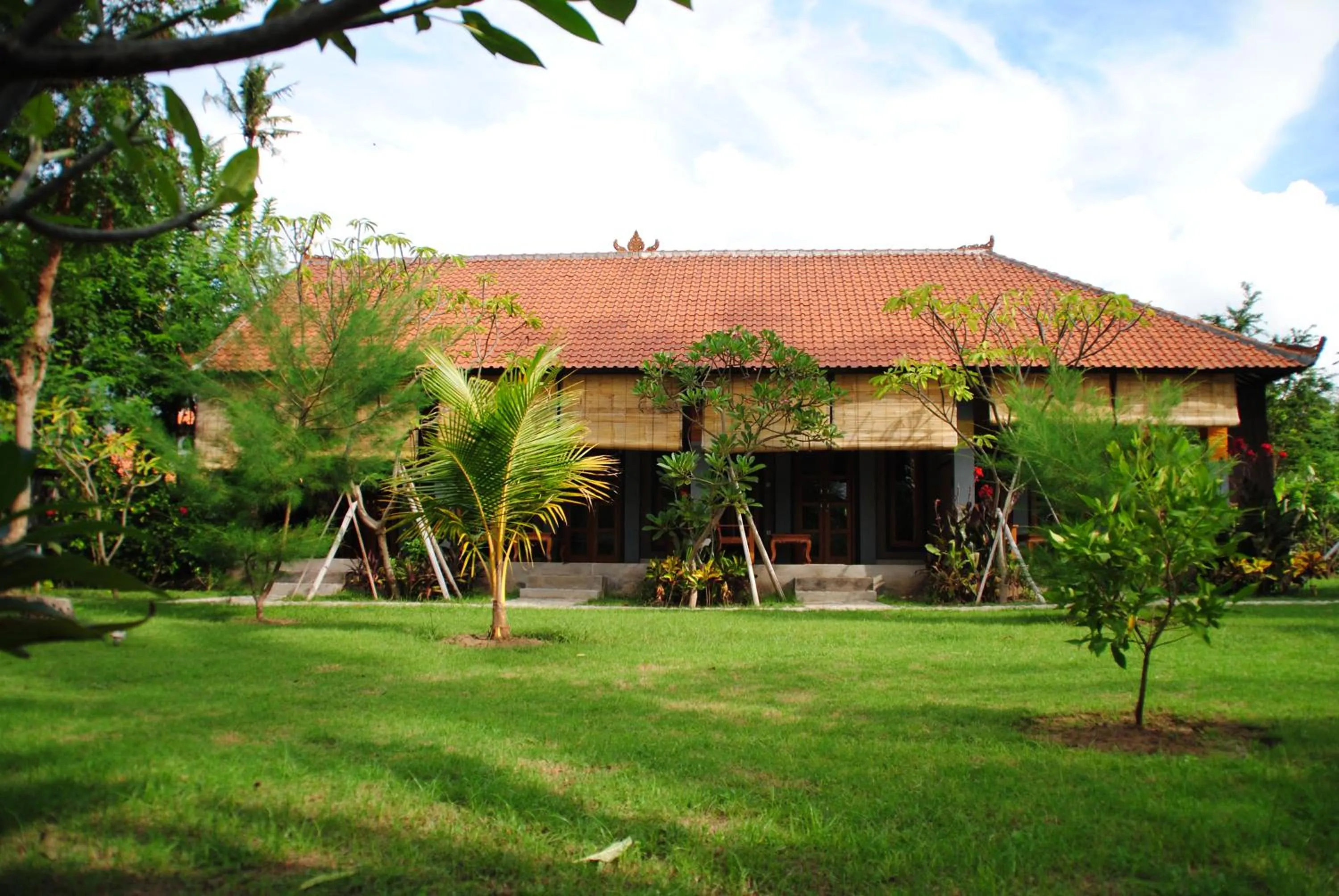Day in Tiara Homestay Pemuteran Bali