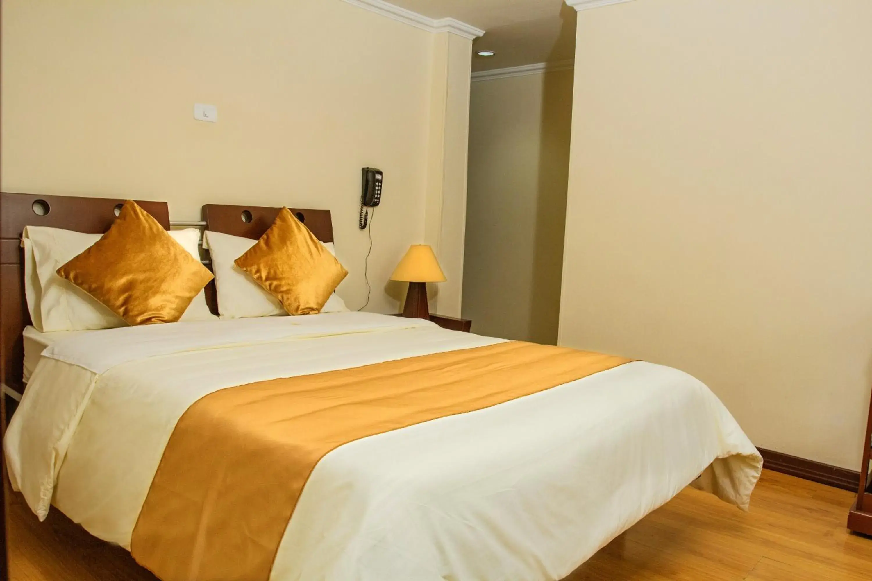 Deluxe Room in Hotel Senegal Deluxe Room in Hotel Senegal