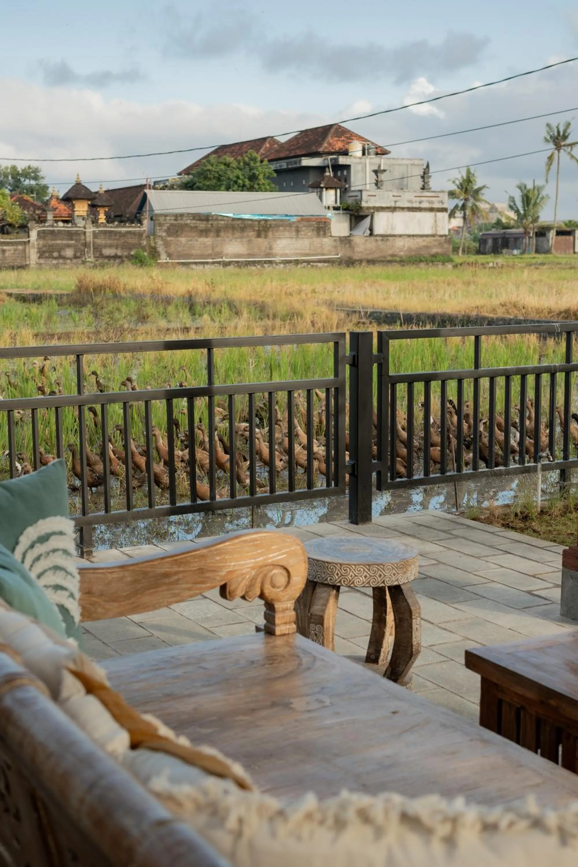 Natural landscape in Mamora Living Ubud