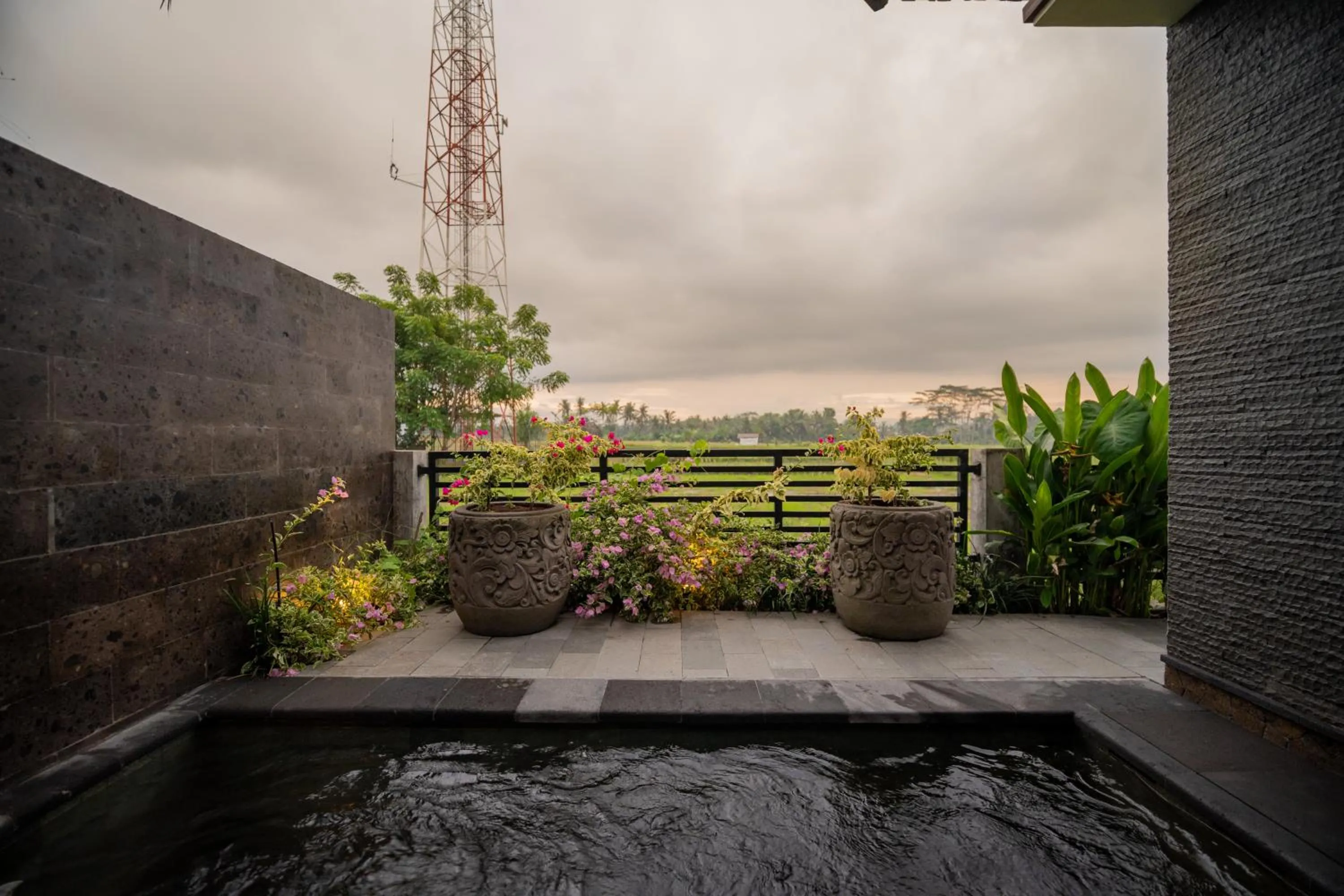 Swimming pool in Mamora Living Ubud