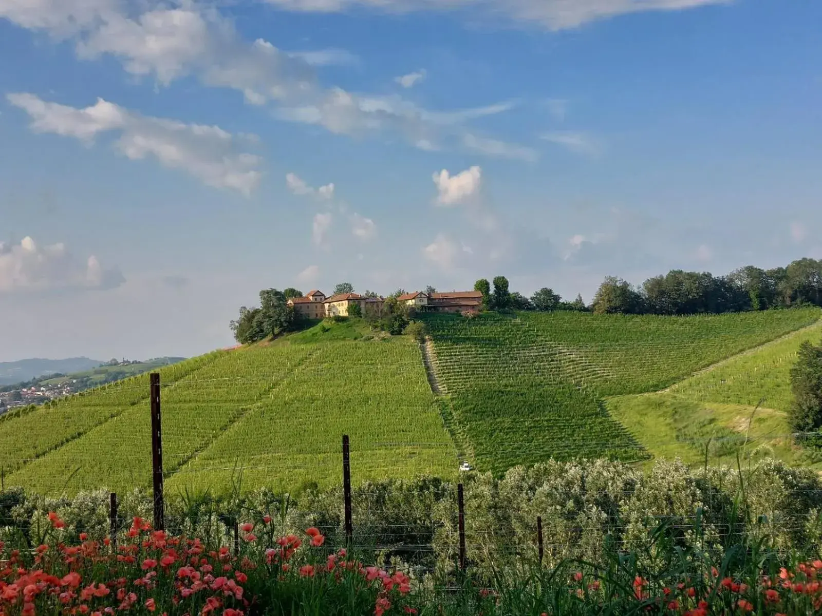 Tenuta Montanello B&B Tenuta Montanello B&B