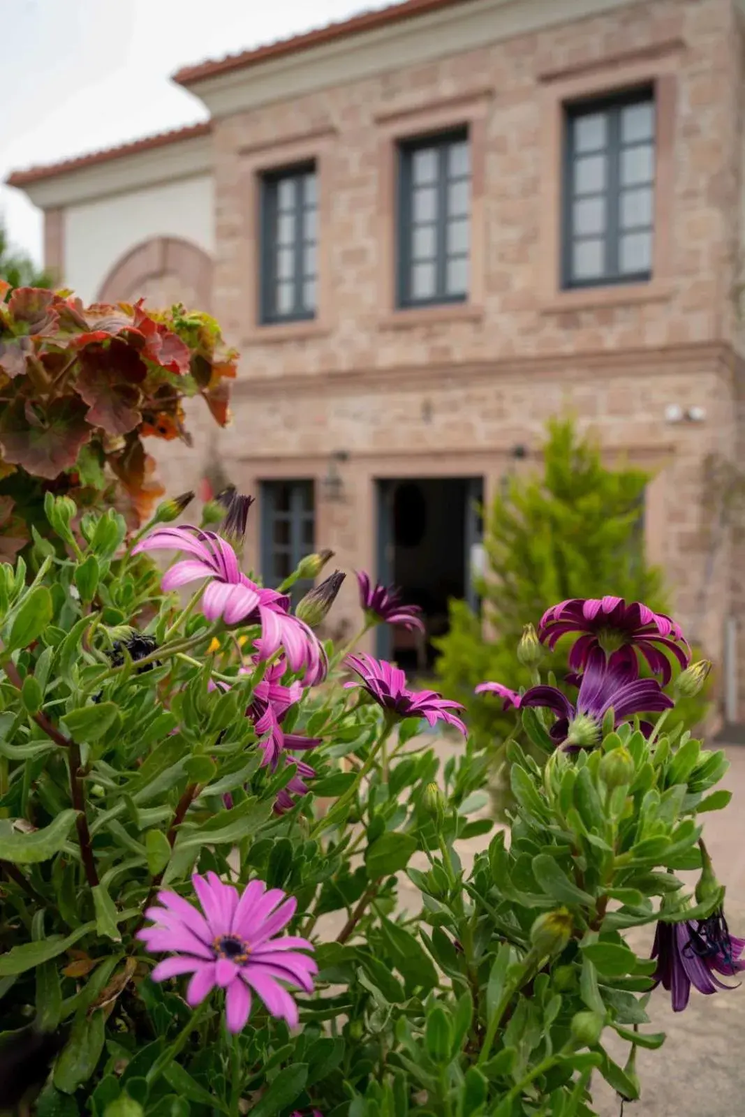 Property building in Cunda Fora Hotel Property building in Cunda Fora Hotel