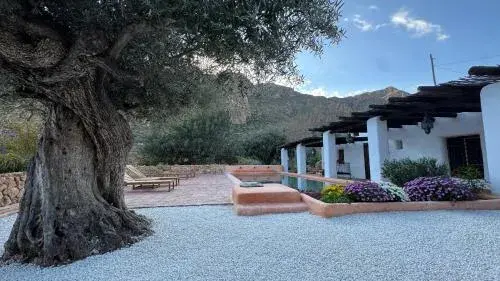 Cortijo rural la alberca Cortijo rural la alberca