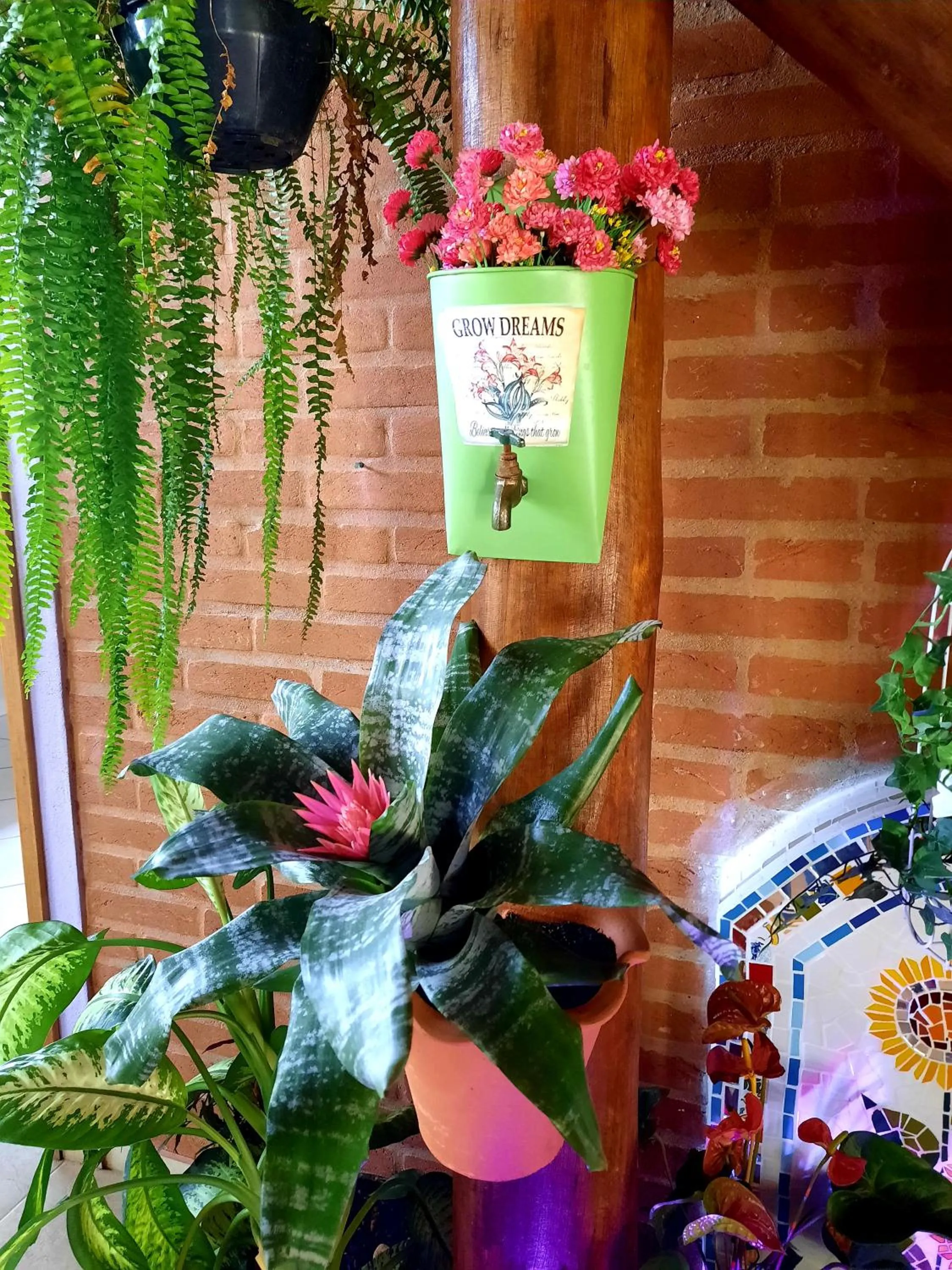 Toca - Bairro Serrano