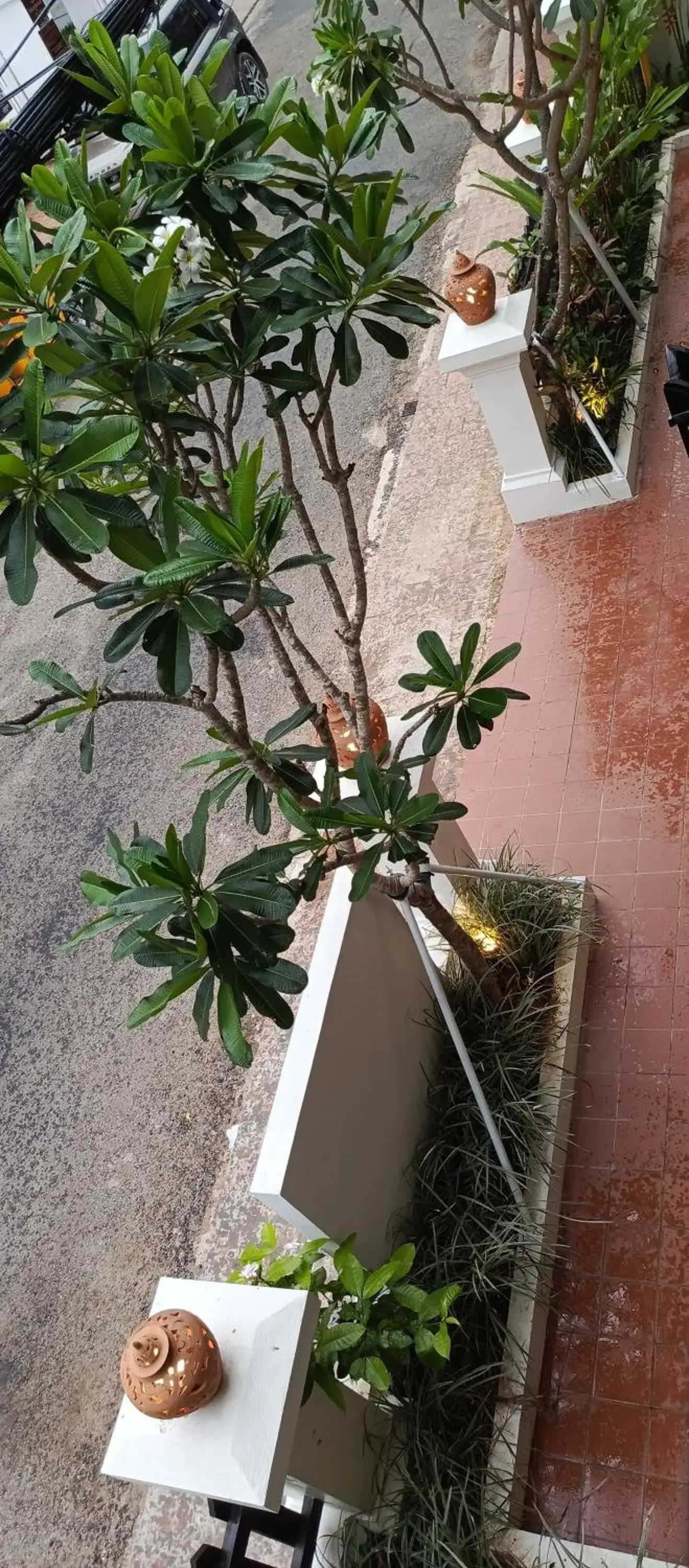 Garden view in Sengphachanh Heritage Boutique Garden view in Sengphachanh Heritage Boutique