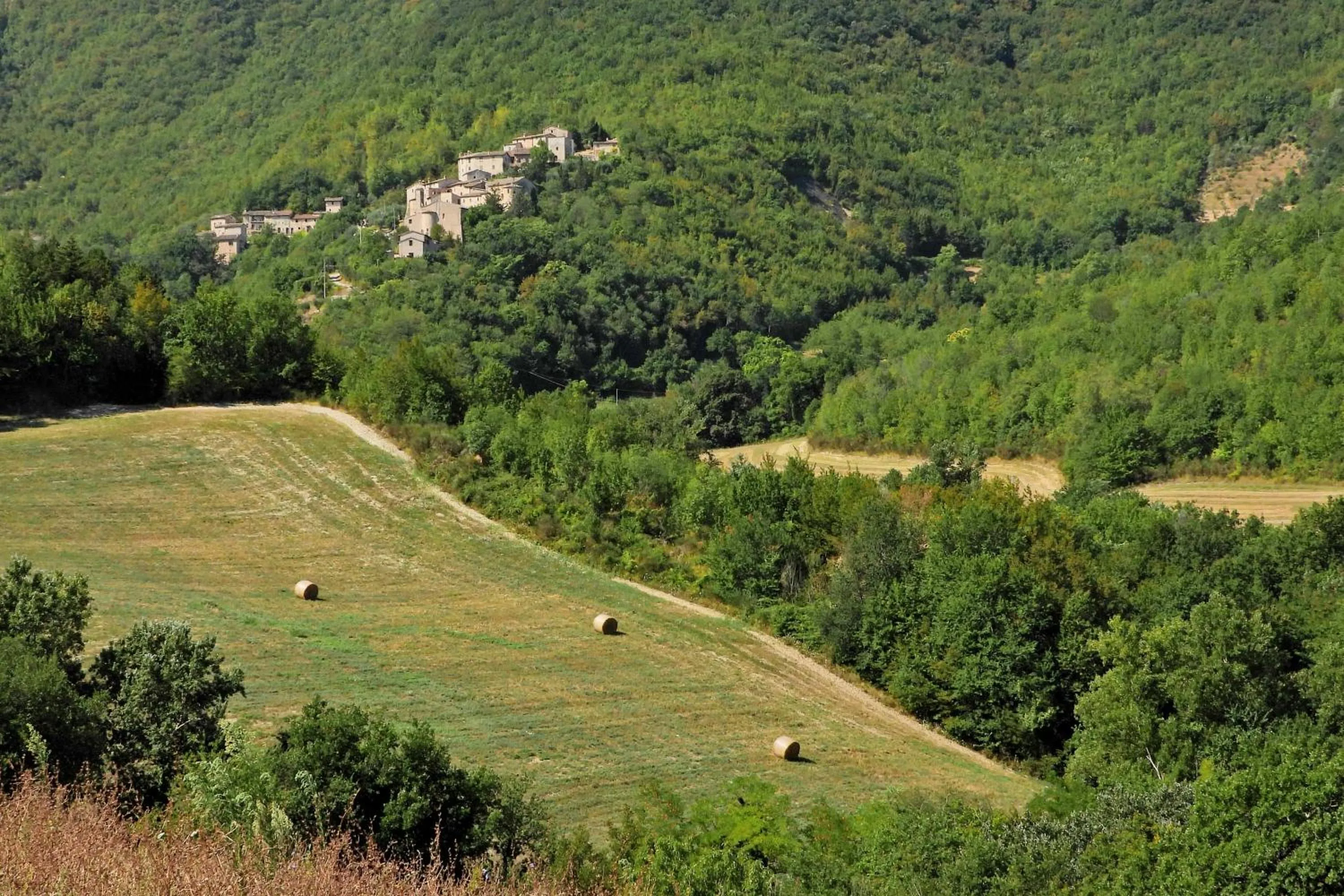 Natural landscape in Agriturismo Colle Casini Cortesi