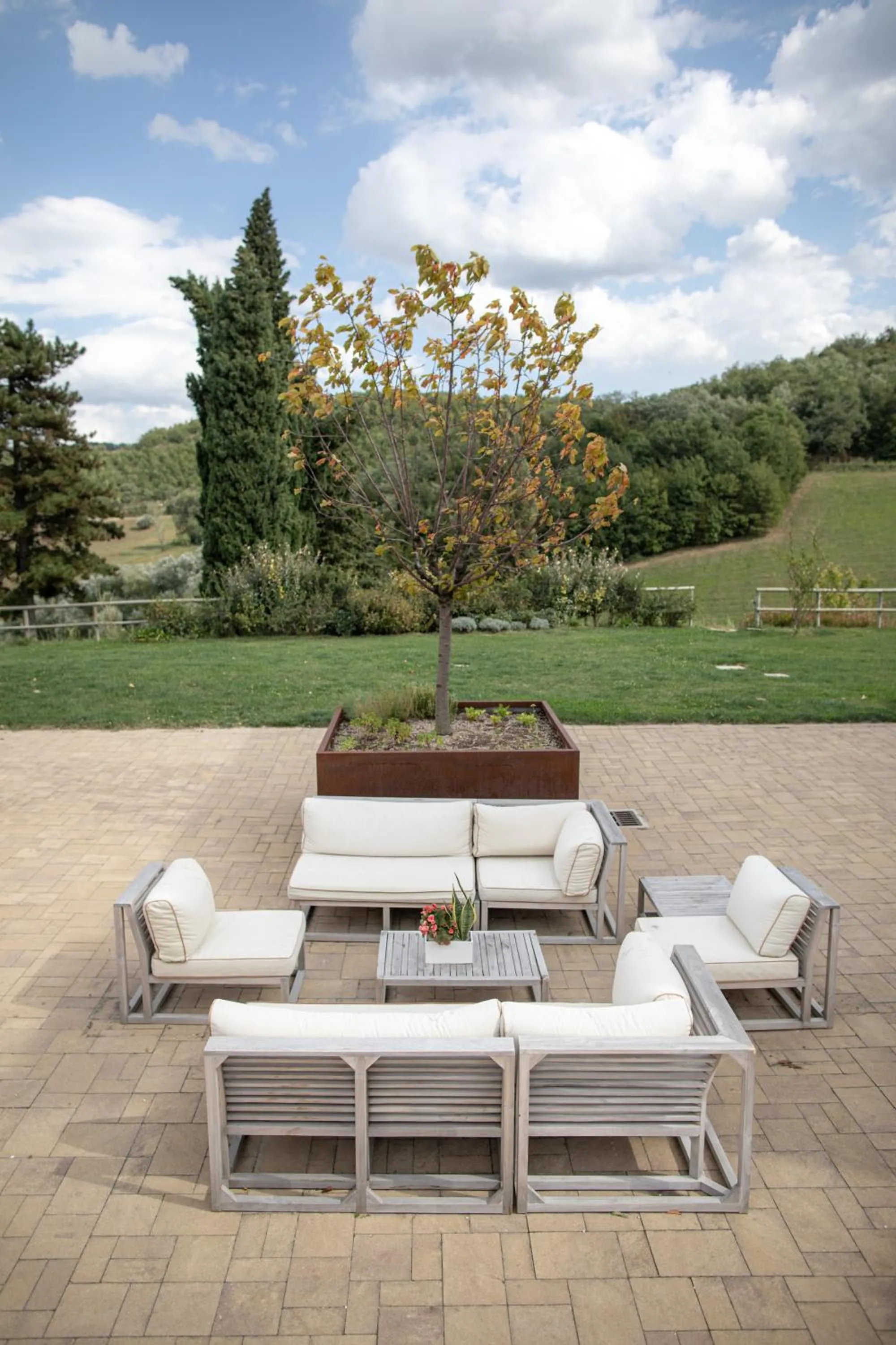 Garden in Agriturismo Colle Casini Cortesi