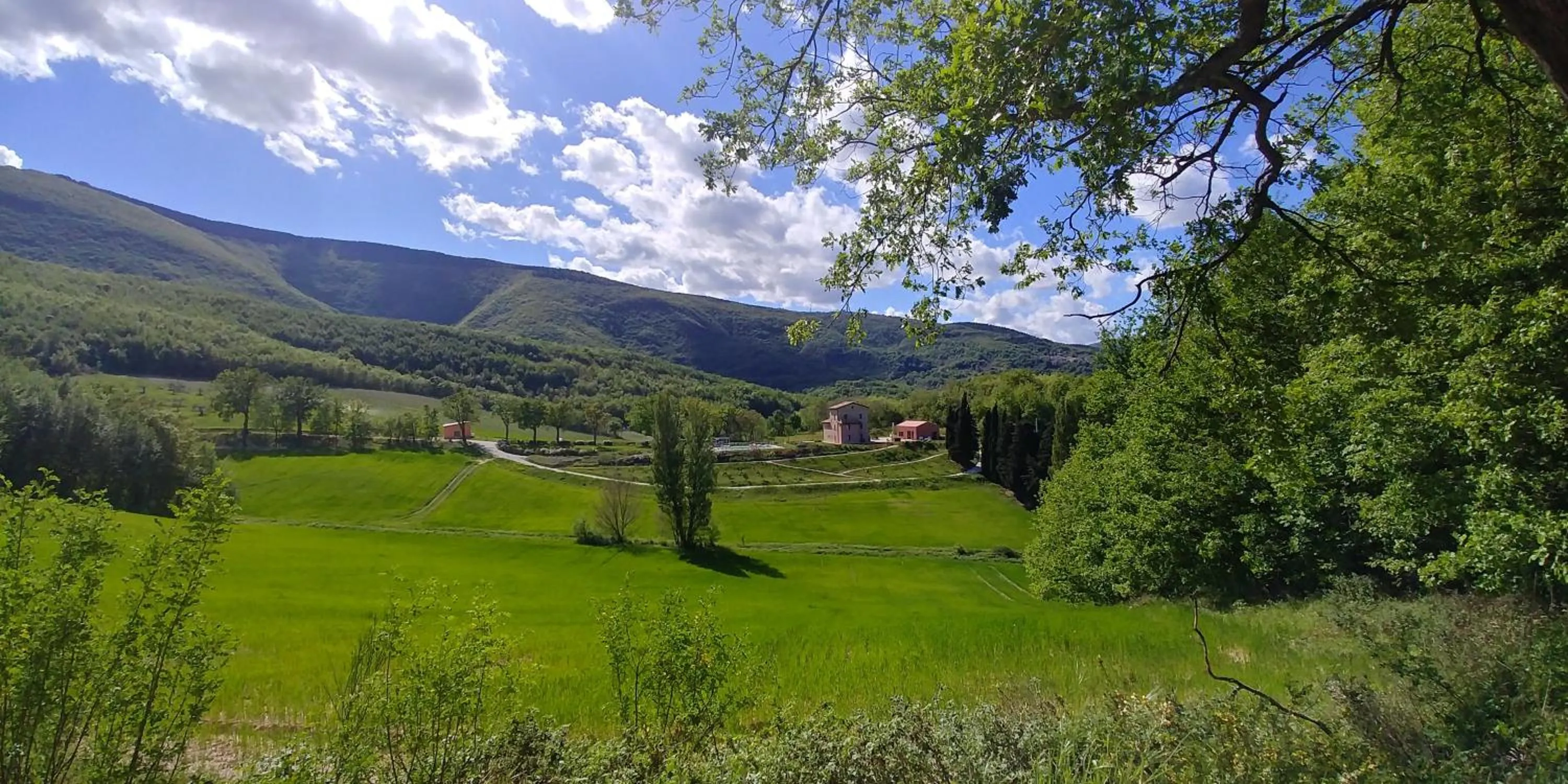 Natural landscape in Agriturismo Colle Casini Cortesi