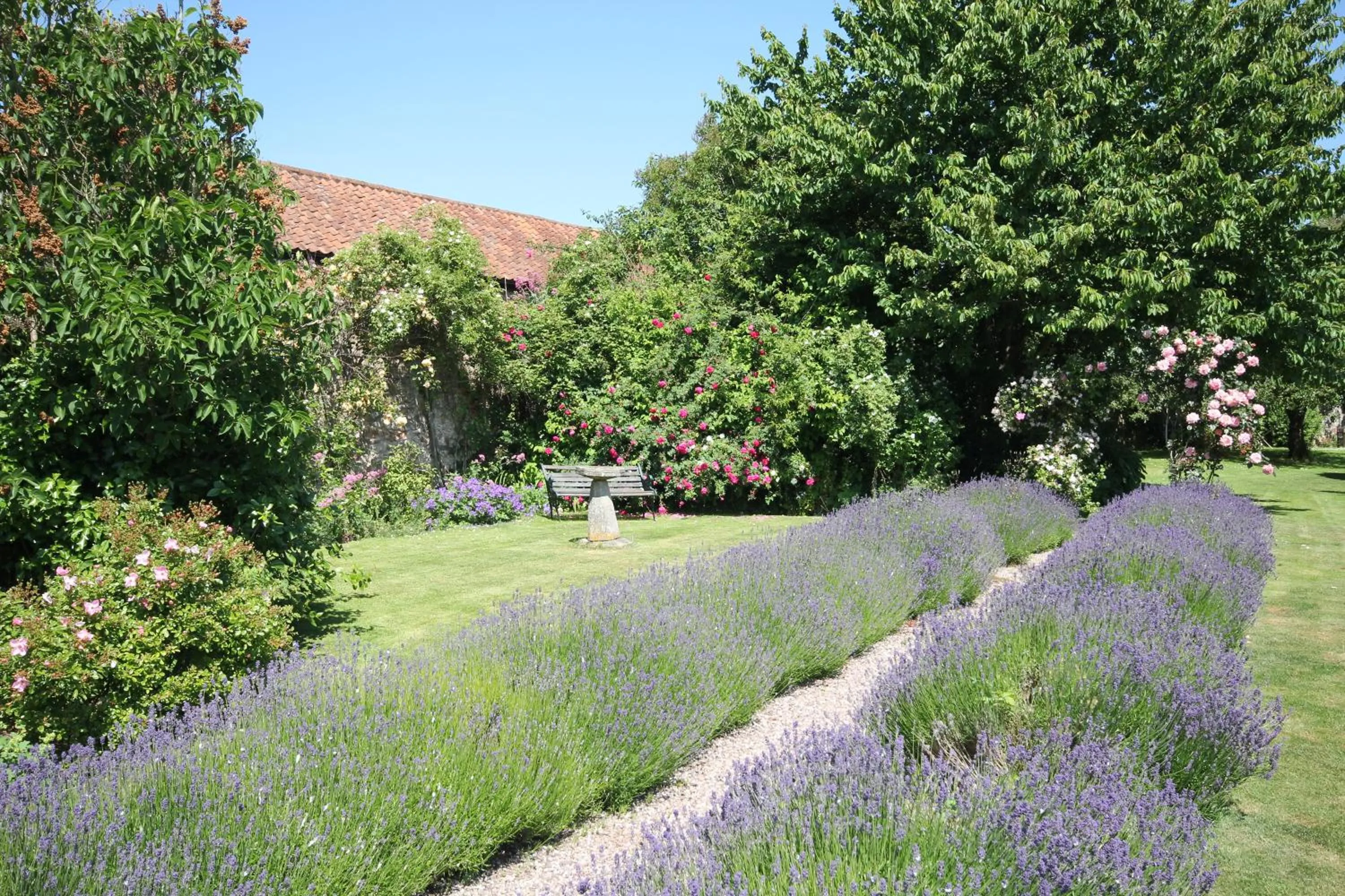 Garden in The Old House