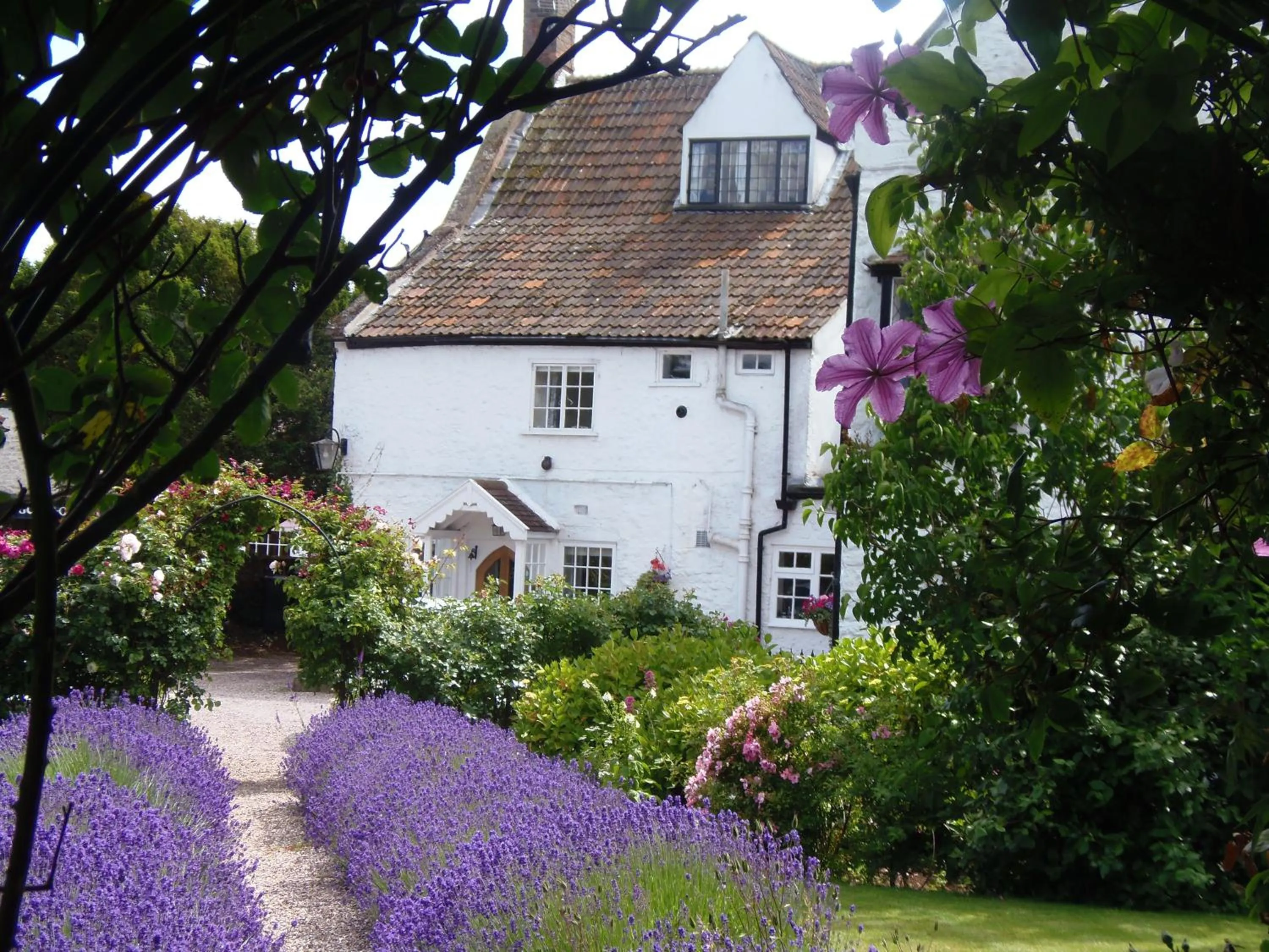 Garden in The Old House