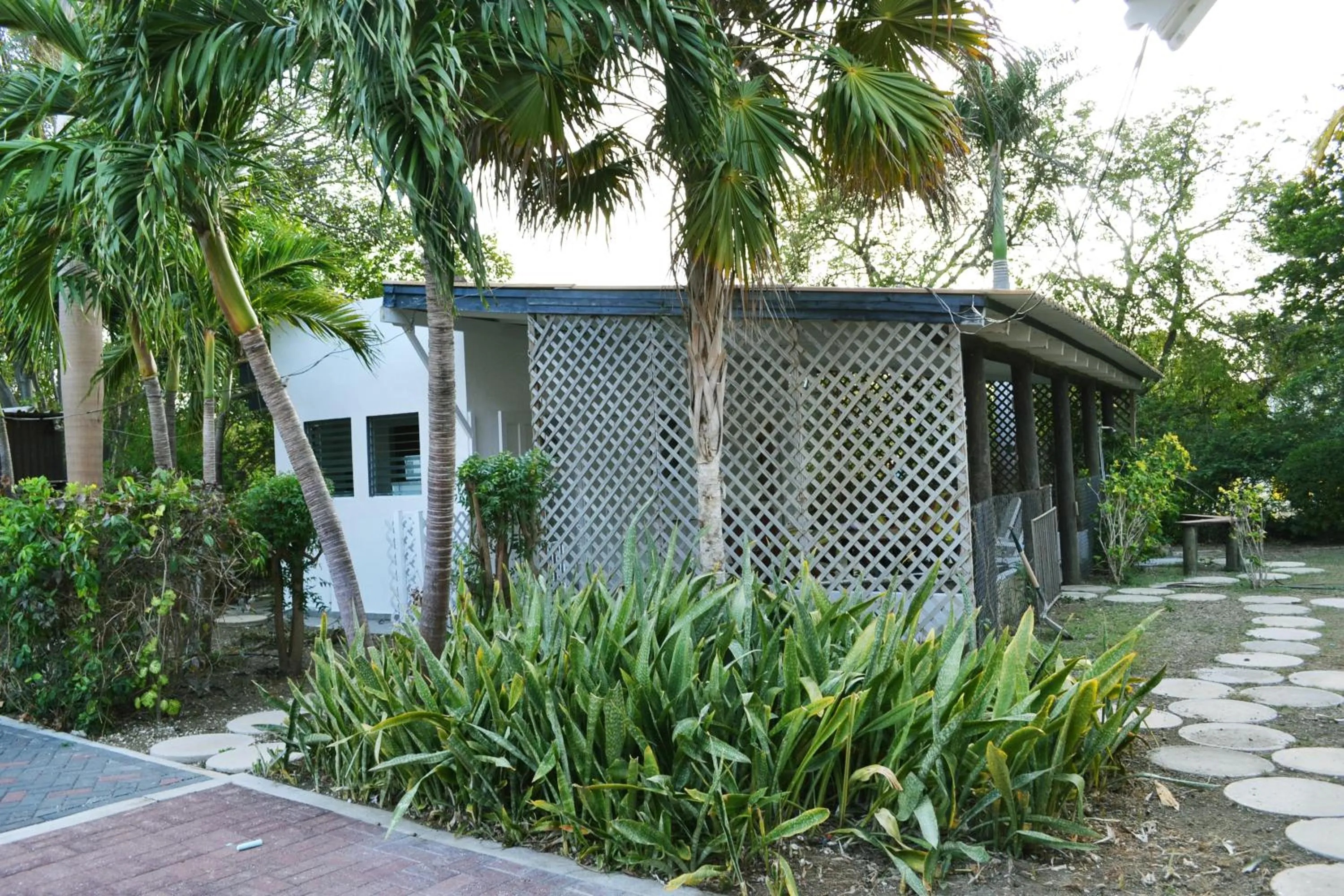 Property building in Palm Trees Apartments
