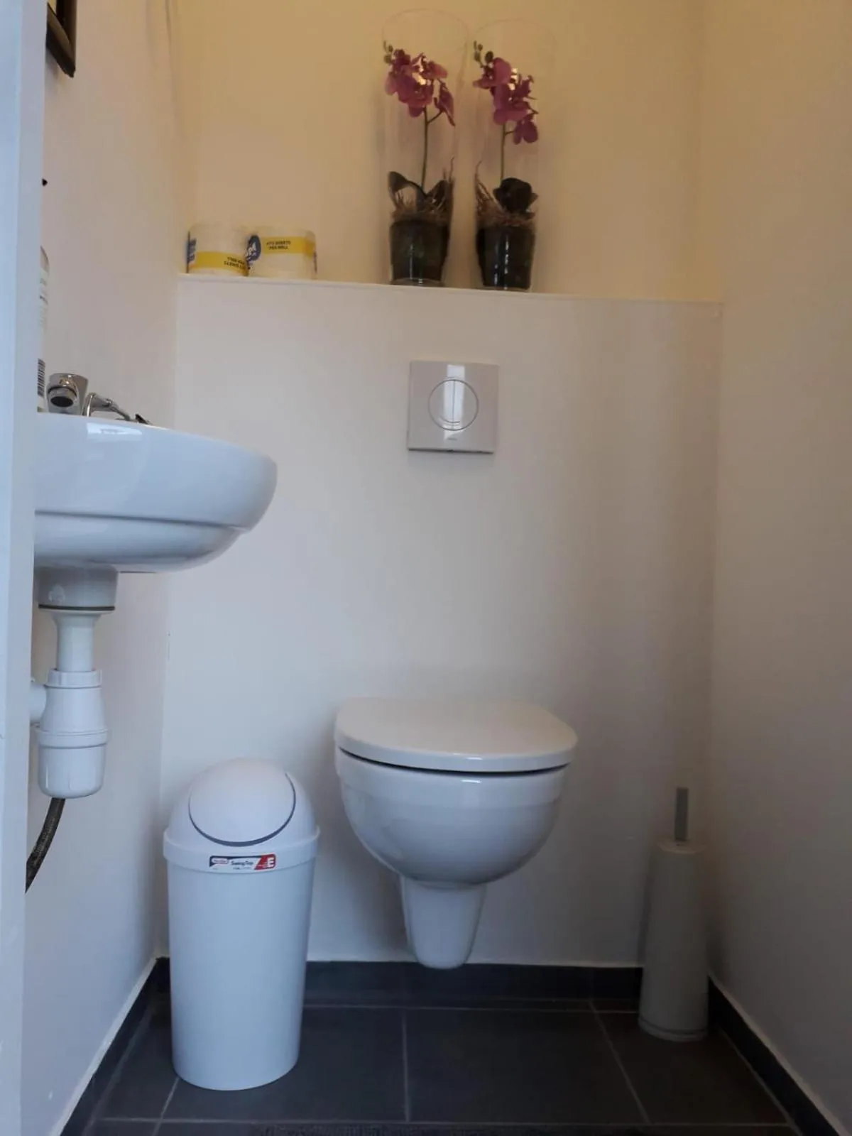 Palm Trees Apartments