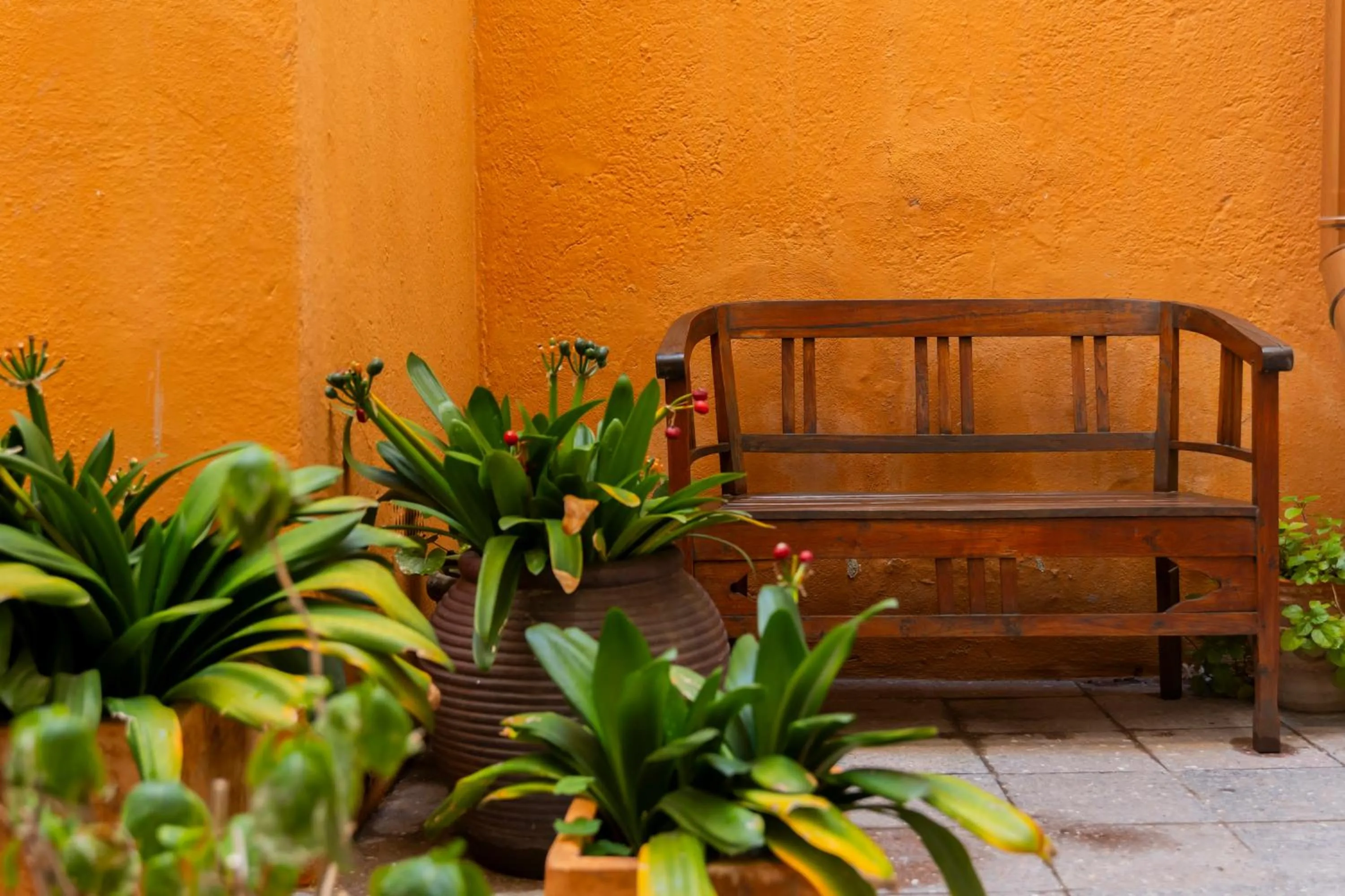 Hotel Tarongeta - Adults Only